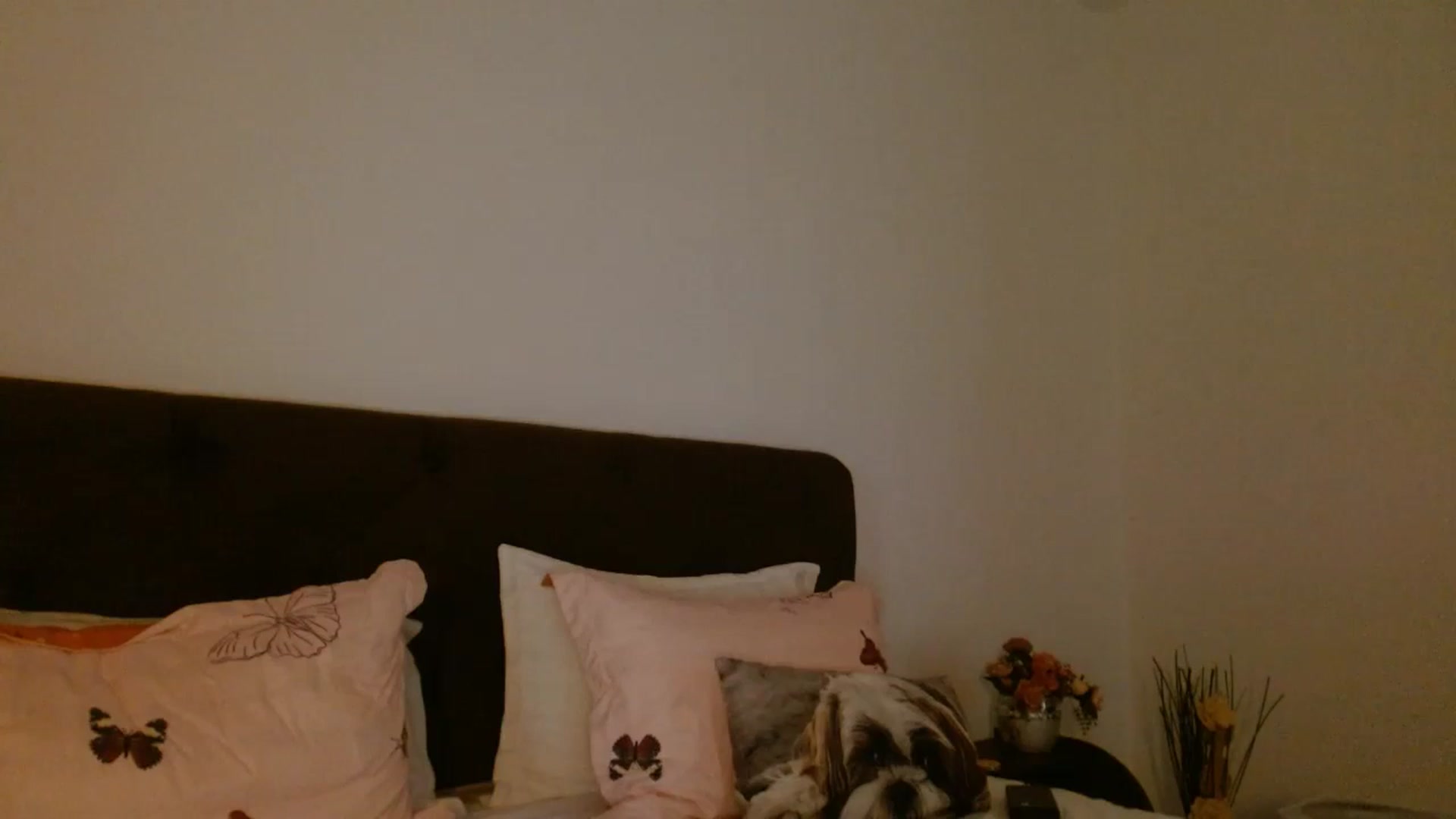 Gallery image thumbnail from EROS____'s myfreecams stream on, 09/05/2025, 14:32 image 8 of 20