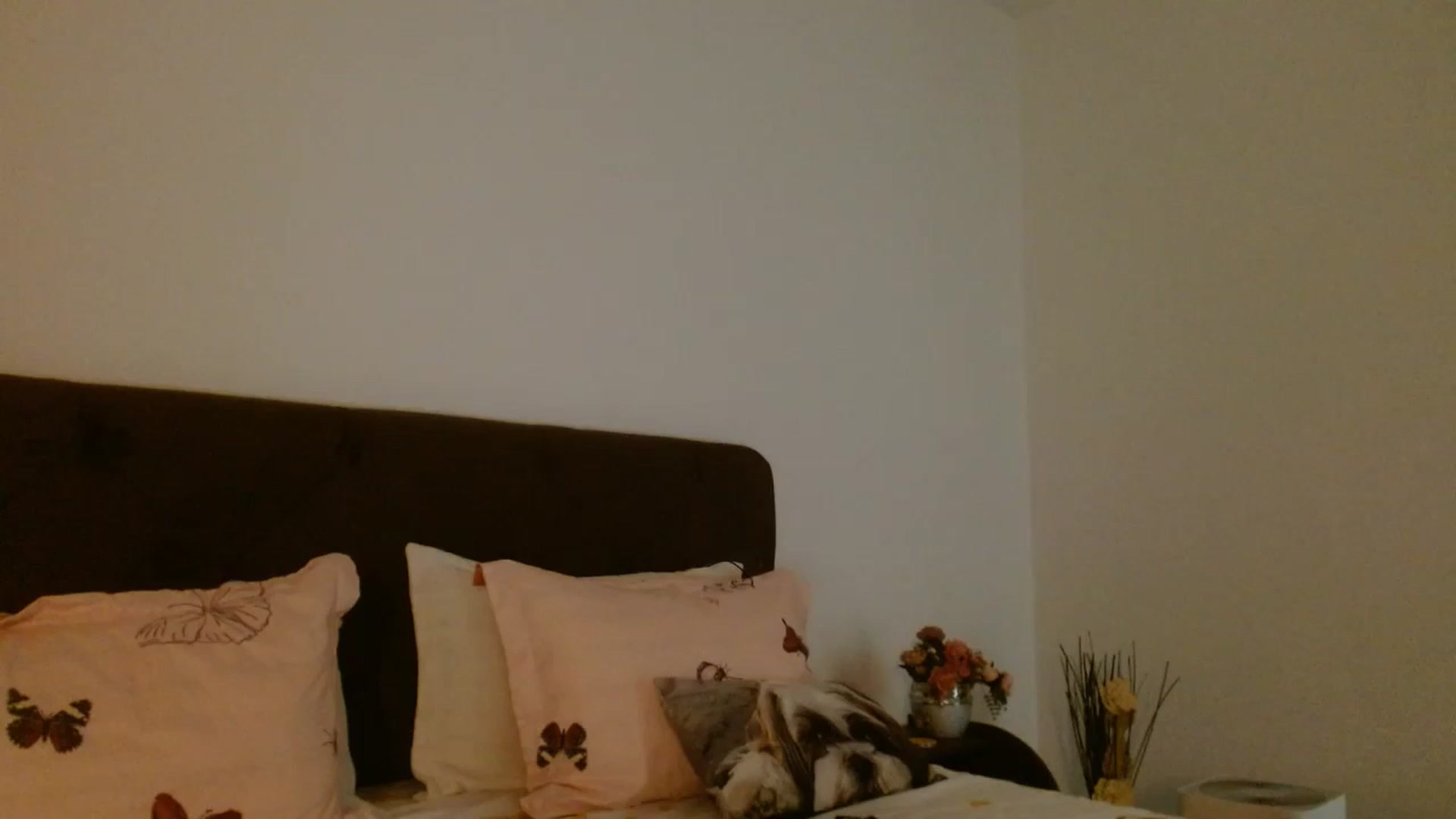 Gallery image thumbnail from EROS____'s myfreecams stream on, 09/06/2025, 11:05 image 1 of 20