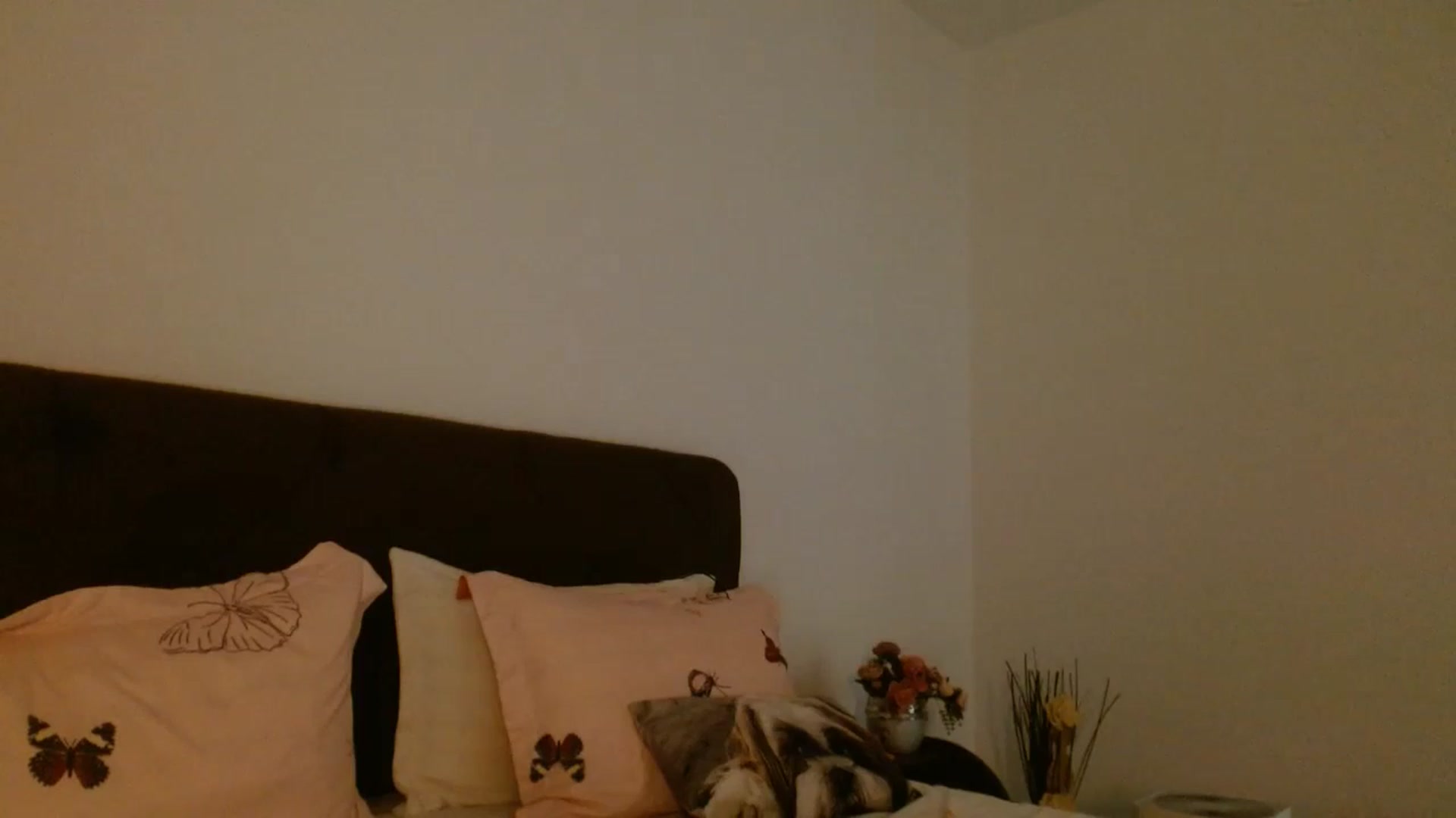 Gallery image thumbnail from EROS____'s myfreecams stream on, 09/06/2025, 13:06 image 3 of 20
