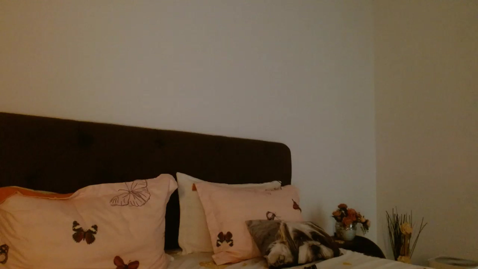 Gallery image thumbnail from EROS____'s myfreecams stream on, 09/06/2025, 13:06 image 17 of 20