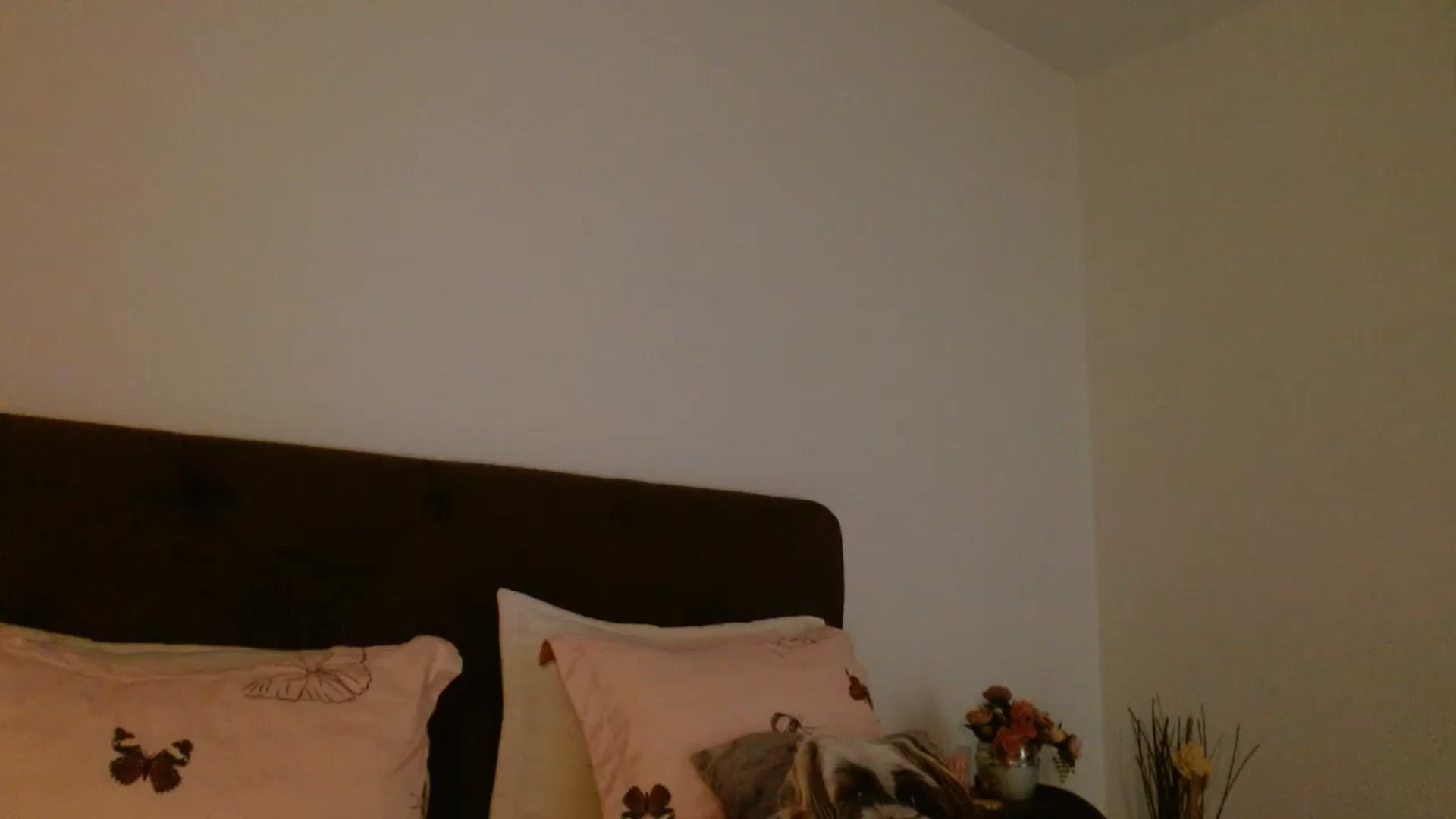 Gallery image thumbnail from EROS____'s myfreecams stream on, 09/07/2025, 11:38 image 20 of 20