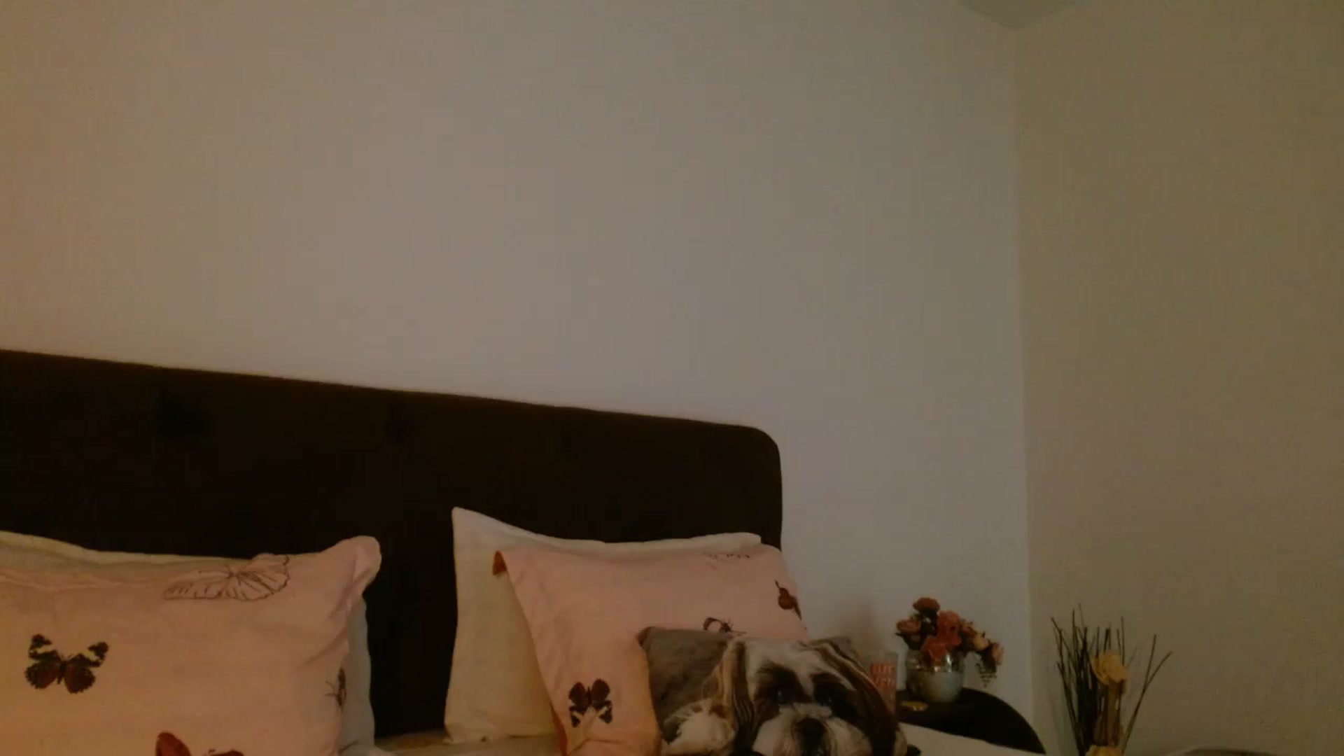 Gallery image thumbnail from EROS____'s myfreecams stream on, 09/07/2025, 11:38 image 14 of 20
