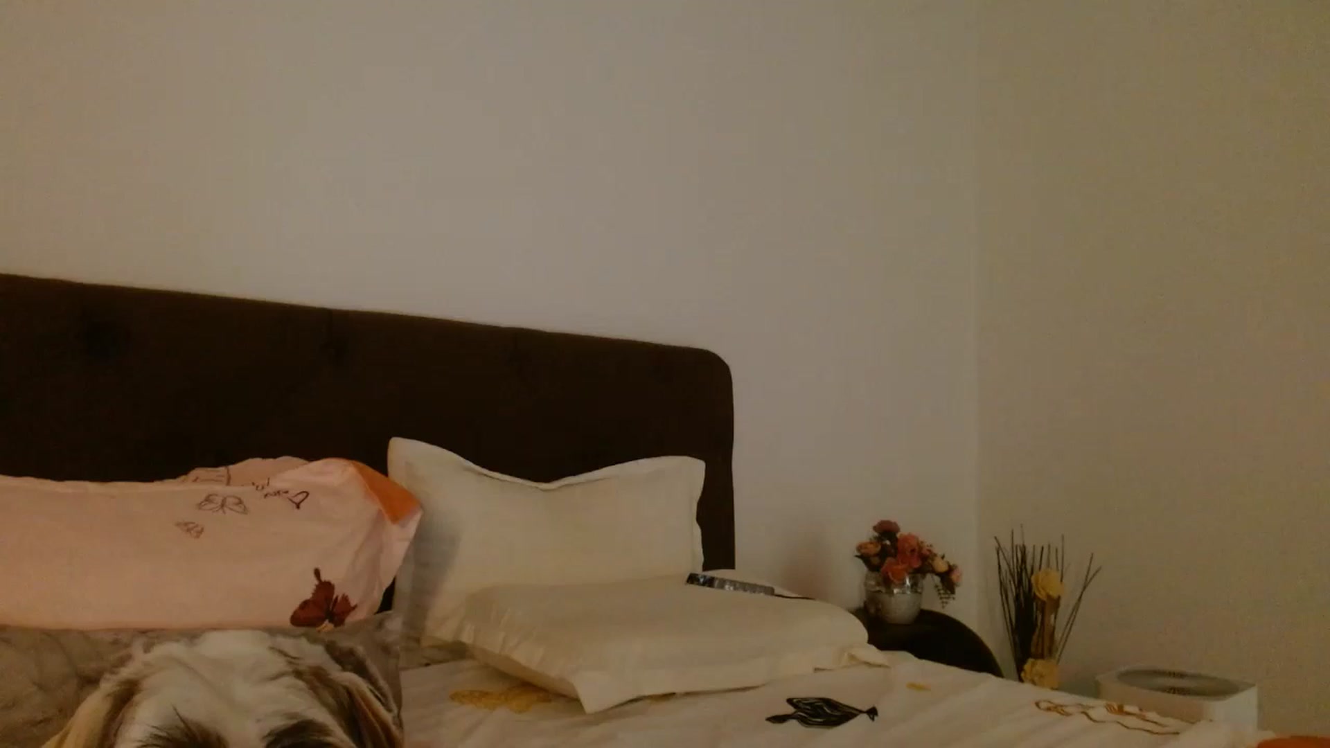 Gallery image thumbnail from EROS____'s myfreecams stream on, 09/10/2025, 10:26 image 2 of 20