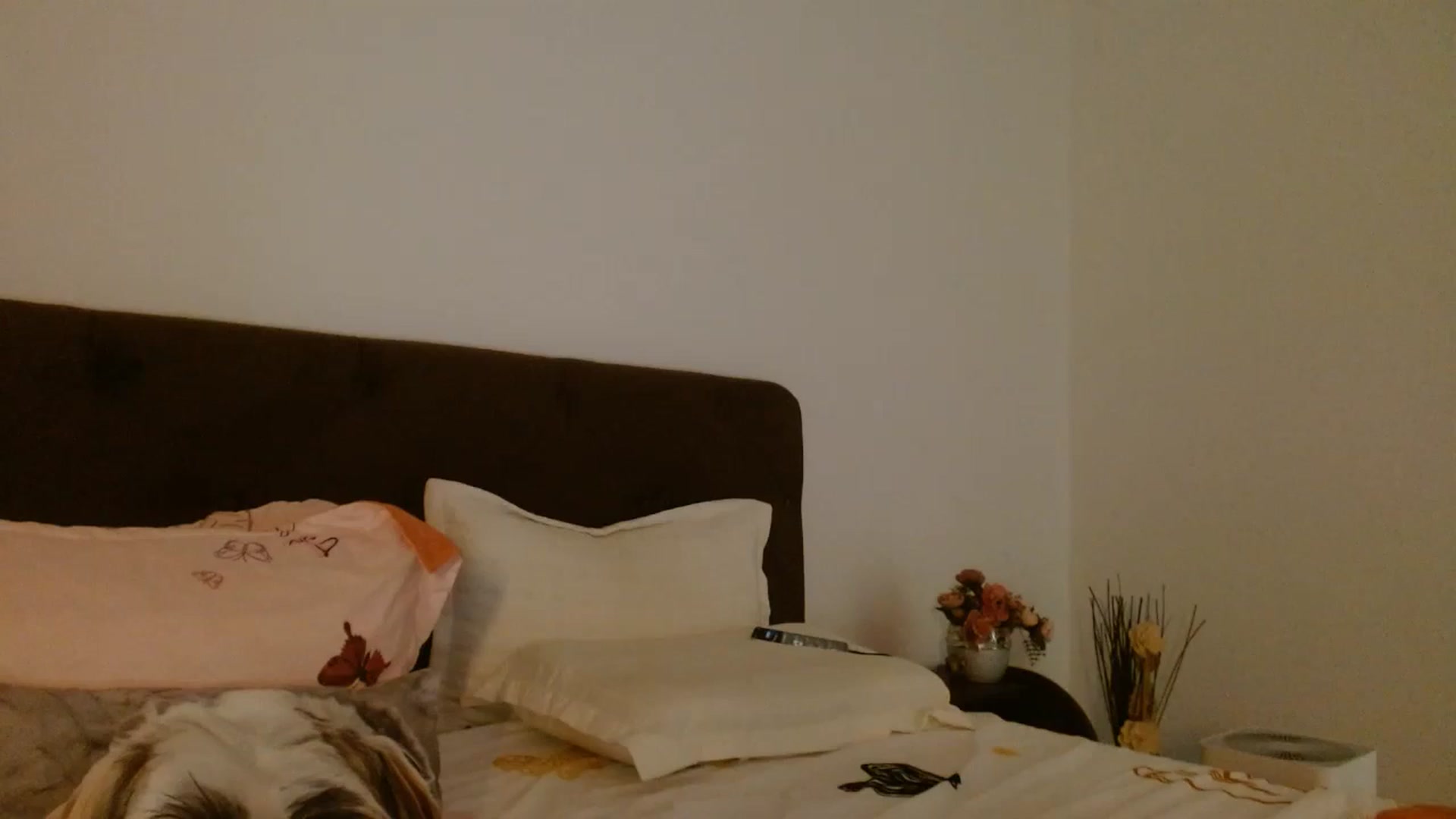 Gallery image thumbnail from EROS____'s myfreecams stream on, 09/10/2025, 10:26 image 1 of 20