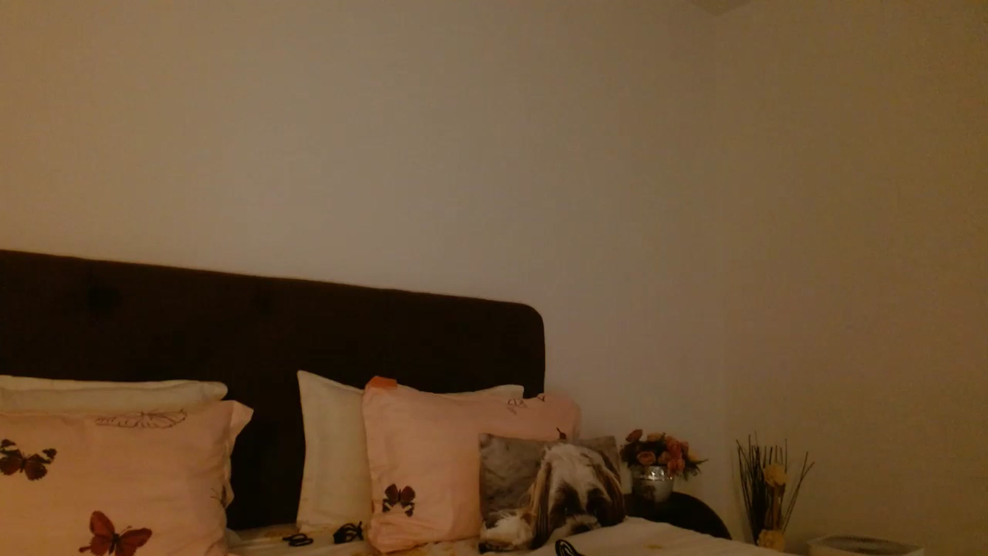 Gallery image thumbnail from EROS____'s myfreecams stream on, 09/12/2025, 10:59 image 15 of 20