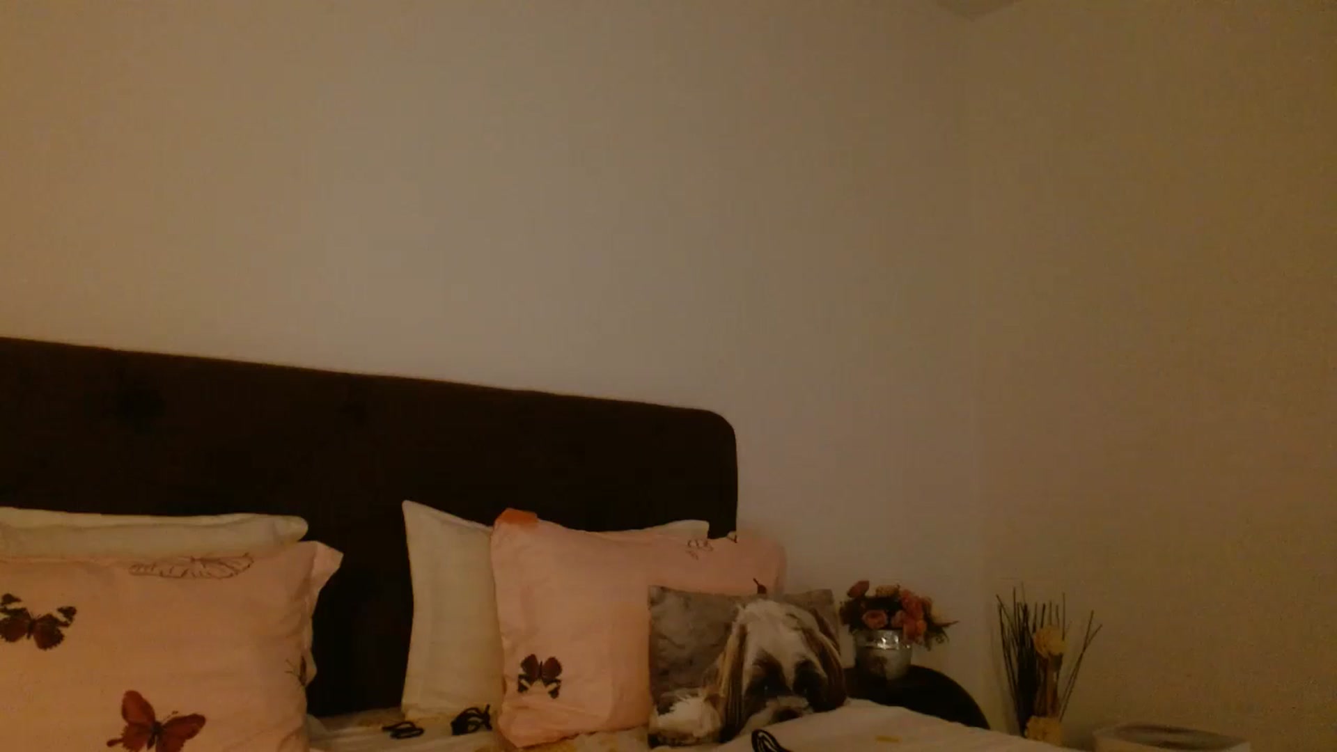 Gallery image thumbnail from EROS____'s myfreecams stream on, 09/12/2025, 10:59 image 14 of 20