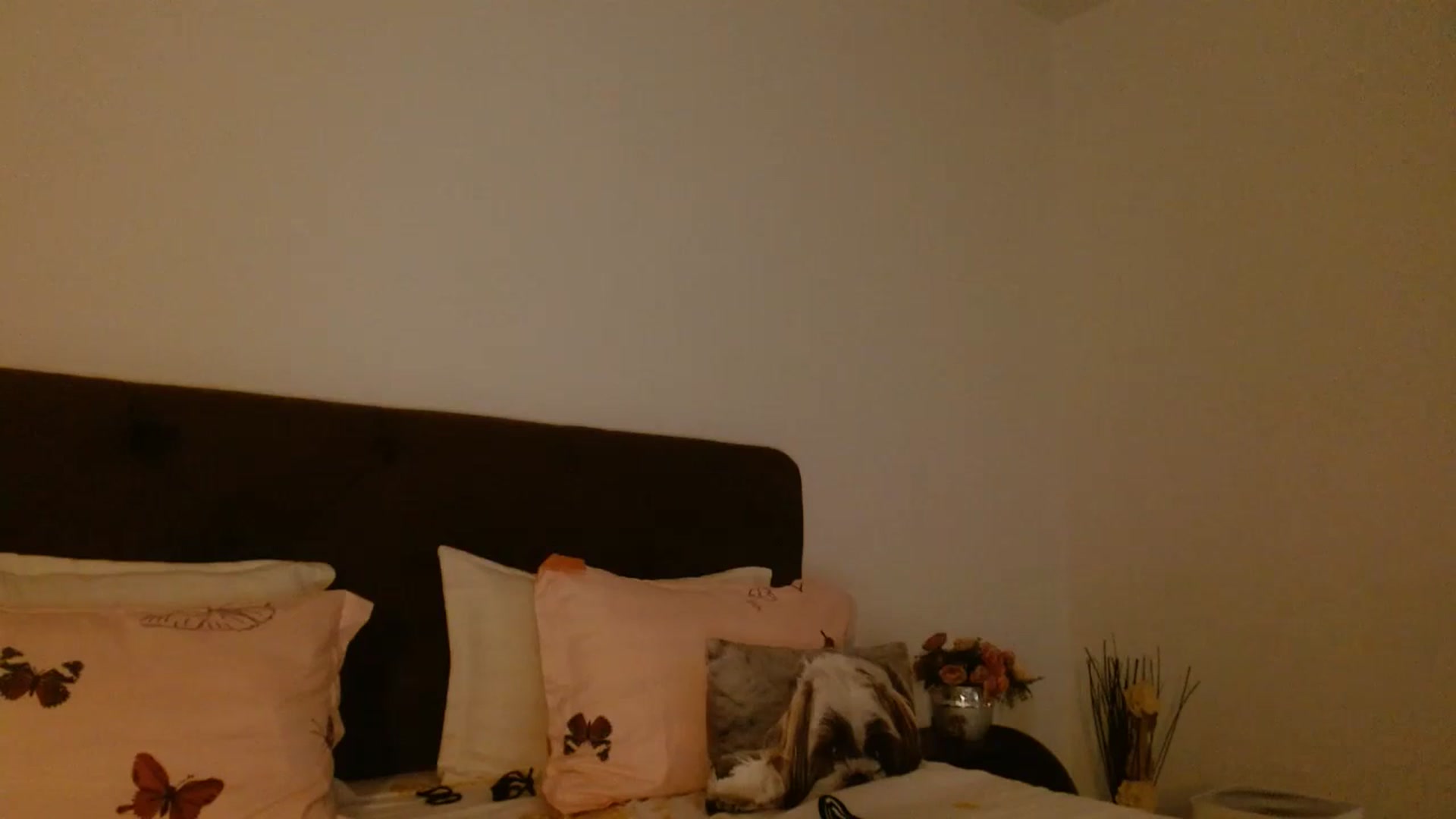 Gallery image thumbnail from EROS____'s myfreecams stream on, 09/12/2025, 10:59 image 16 of 20