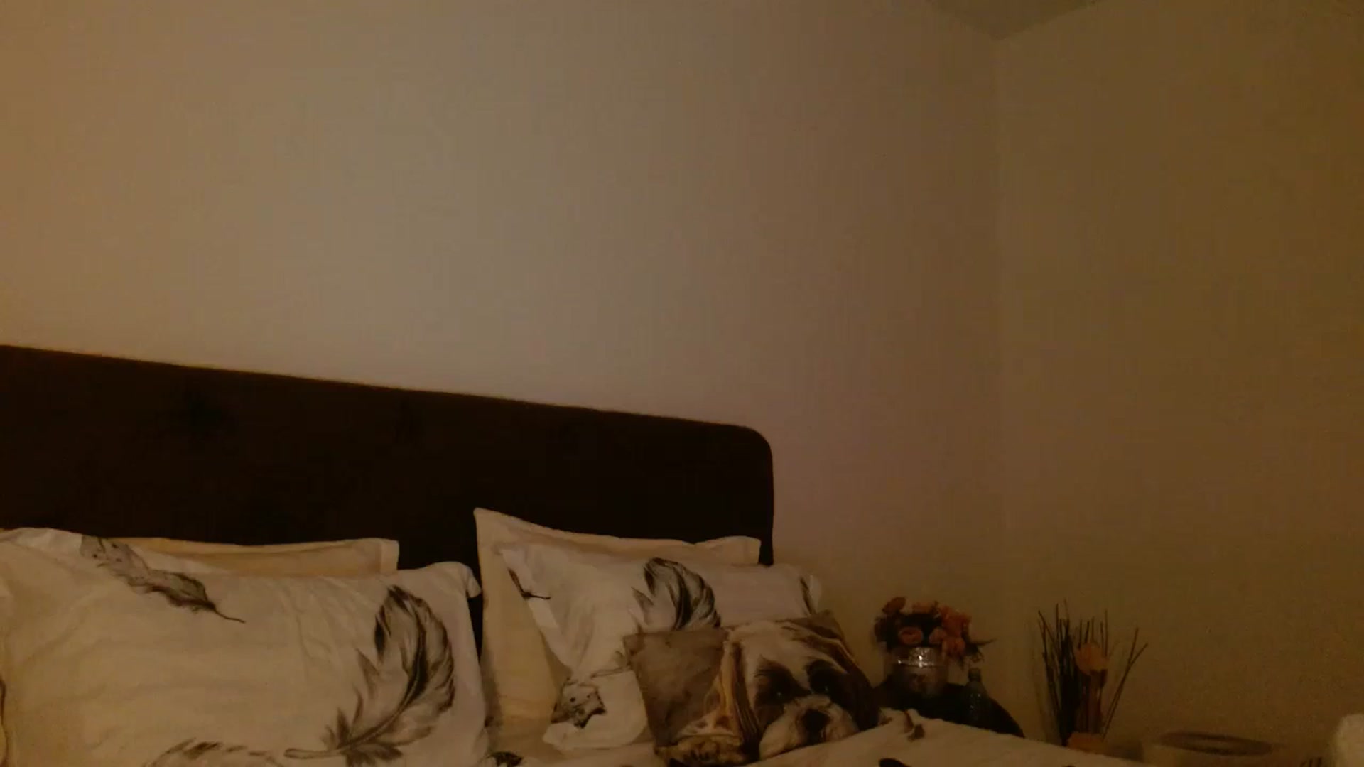 Gallery image thumbnail from EROS____'s myfreecams stream on, 09/19/2025, 13:57 image 13 of 20