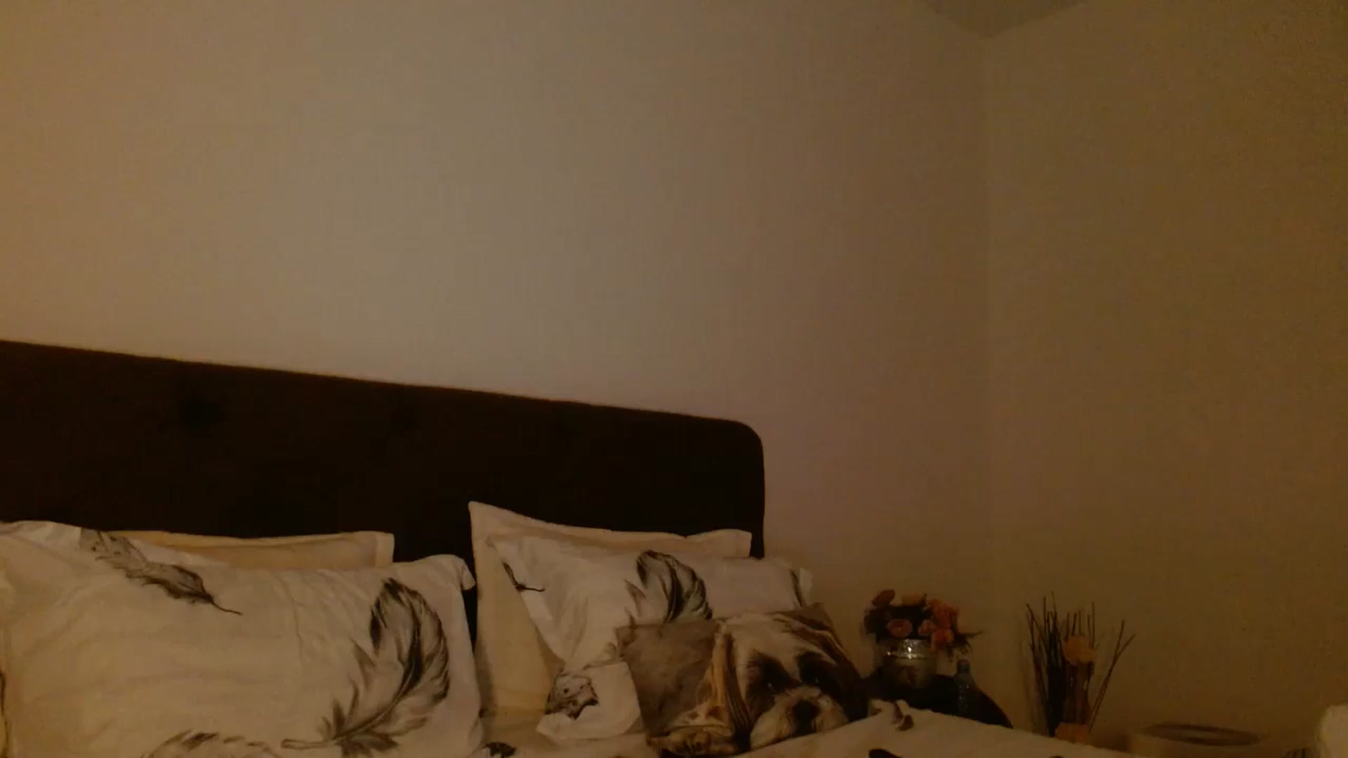 Gallery image thumbnail from EROS____'s myfreecams stream on, 09/19/2025, 13:57 image 12 of 20