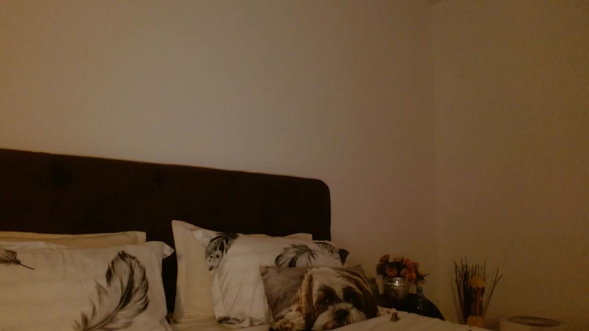 Gallery image thumbnail from EROS____'s myfreecams stream on, 09/21/2025, 11:45 image 10 of 20