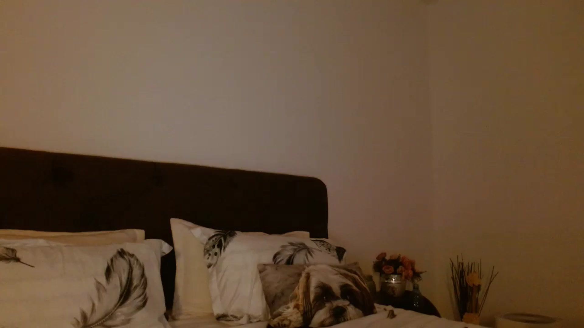 Gallery image thumbnail from EROS____'s myfreecams stream on, 09/21/2025, 11:45 image 9 of 20