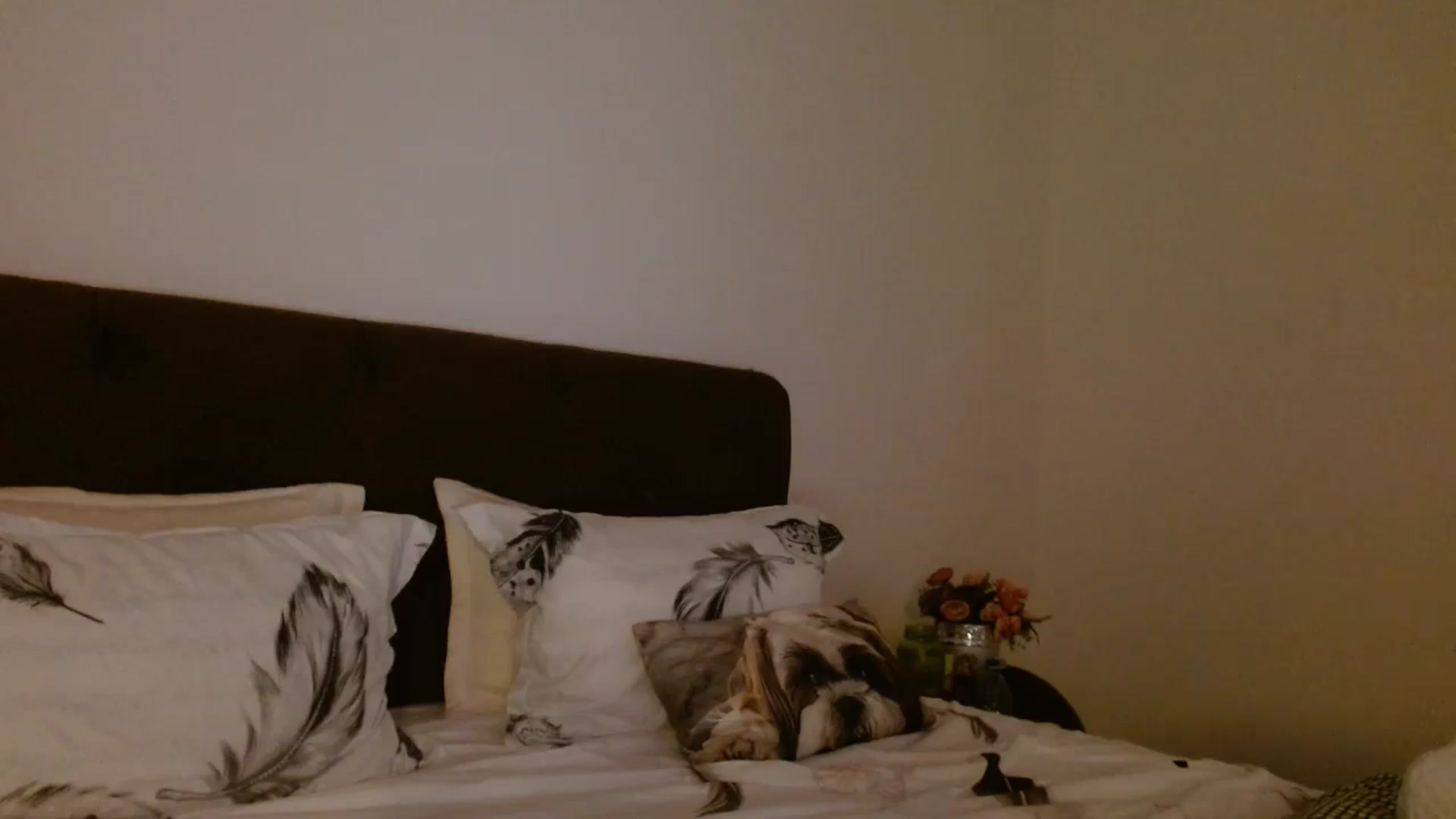 Gallery image thumbnail from EROS____'s myfreecams stream on, 09/28/2025, 13:23 image 20 of 20