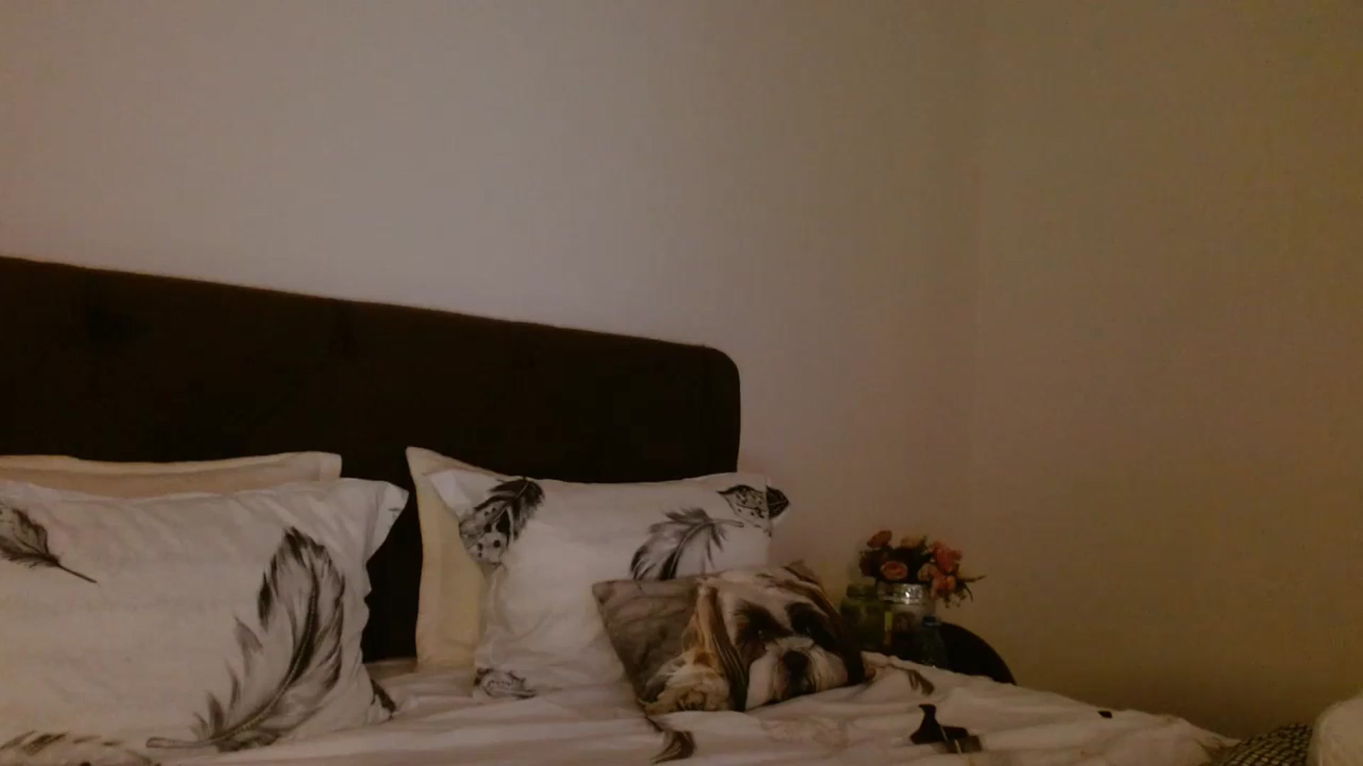 Gallery image thumbnail from EROS____'s myfreecams stream on, 09/28/2025, 13:23 image 19 of 20