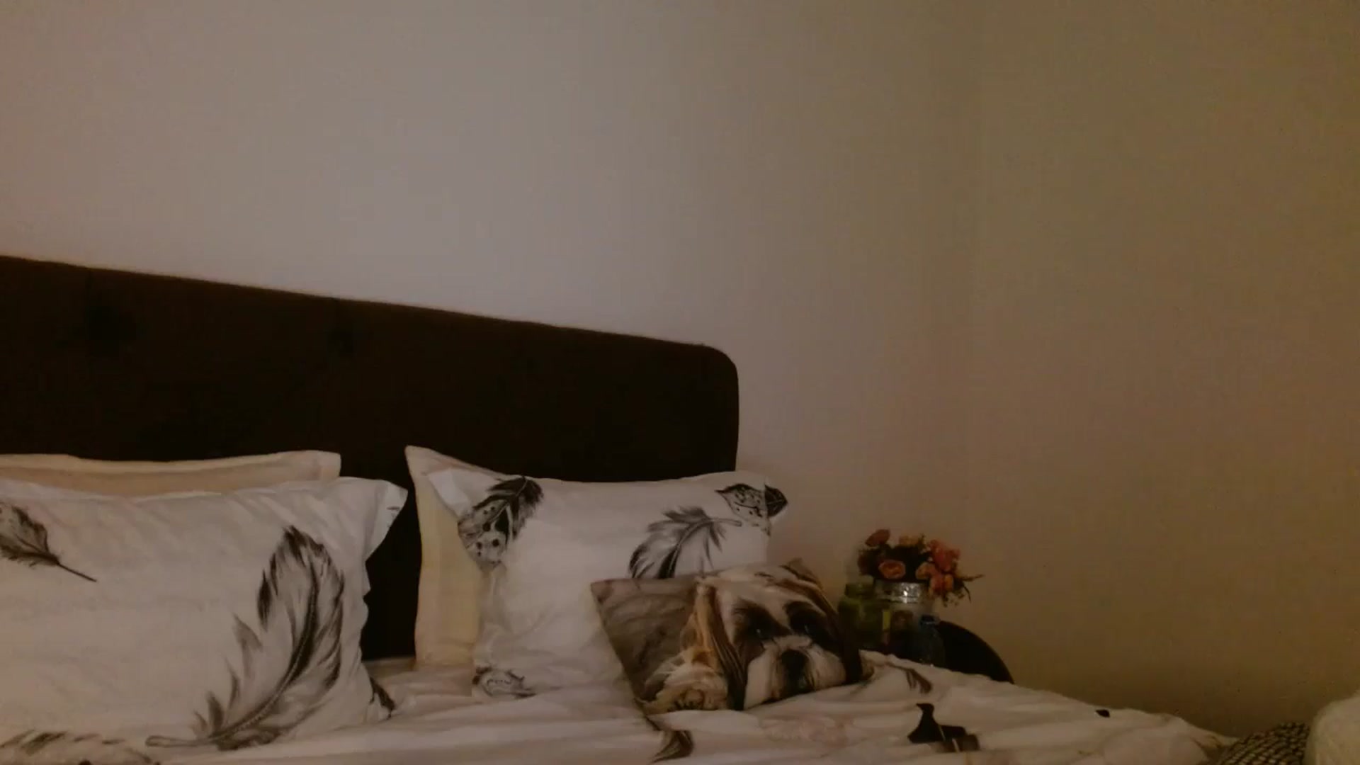 Gallery image thumbnail from EROS____'s myfreecams stream on, 09/28/2025, 13:23 image 18 of 20