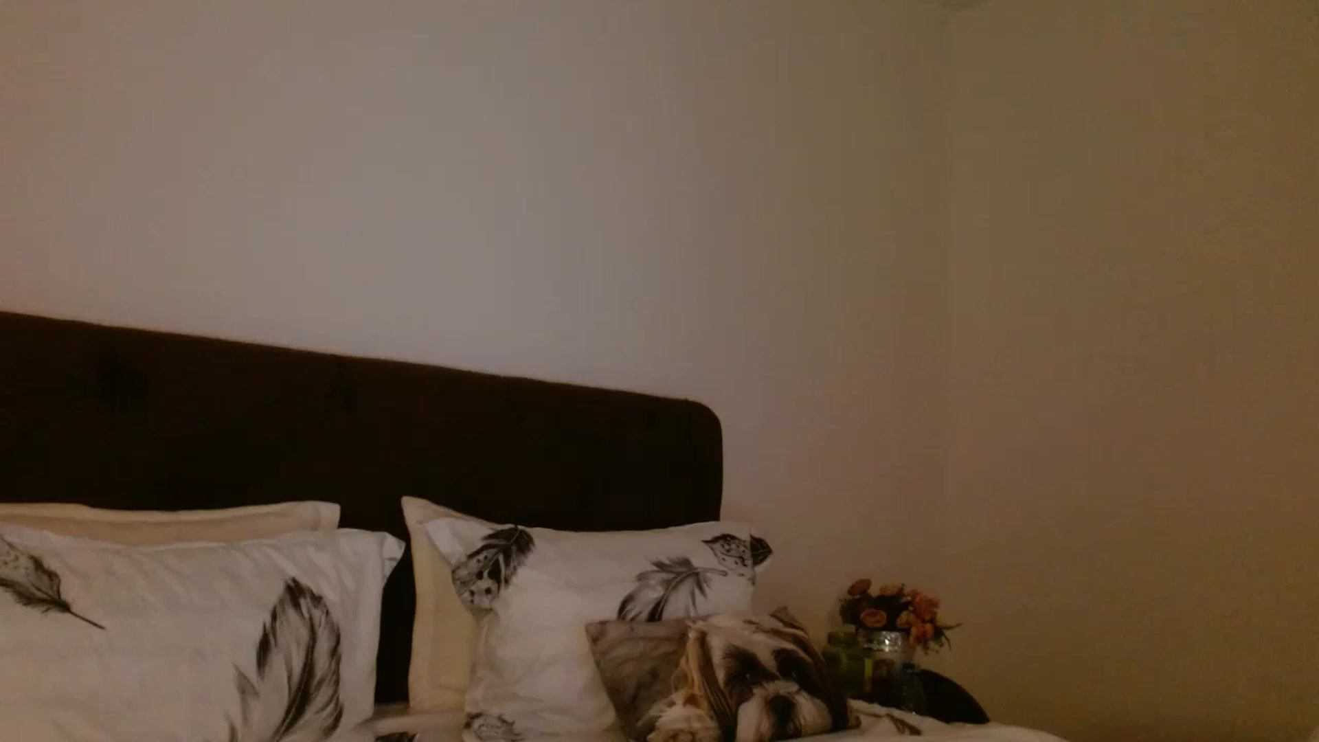 Gallery image thumbnail from EROS____'s myfreecams stream on, 09/28/2025, 13:23 image 7 of 20