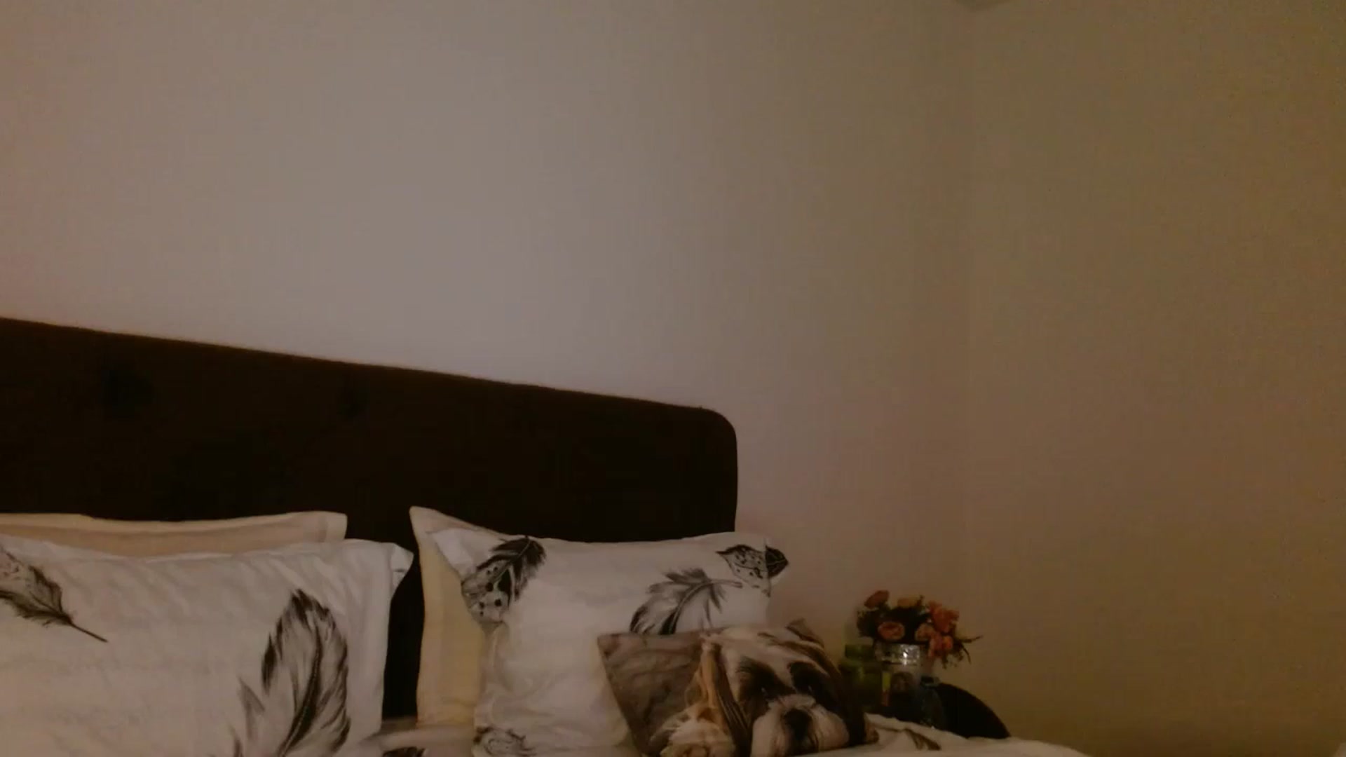 Gallery image thumbnail from EROS____'s myfreecams stream on, 09/28/2025, 13:23 image 8 of 20