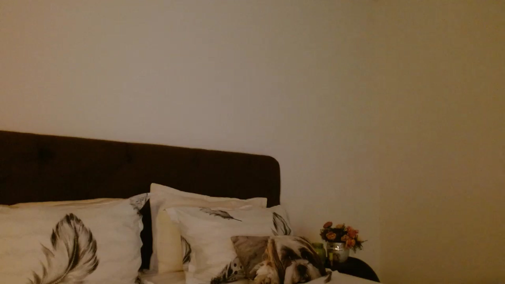 Gallery image thumbnail from EROS____'s myfreecams stream on, 10/04/2025, 10:22 image 10 of 20