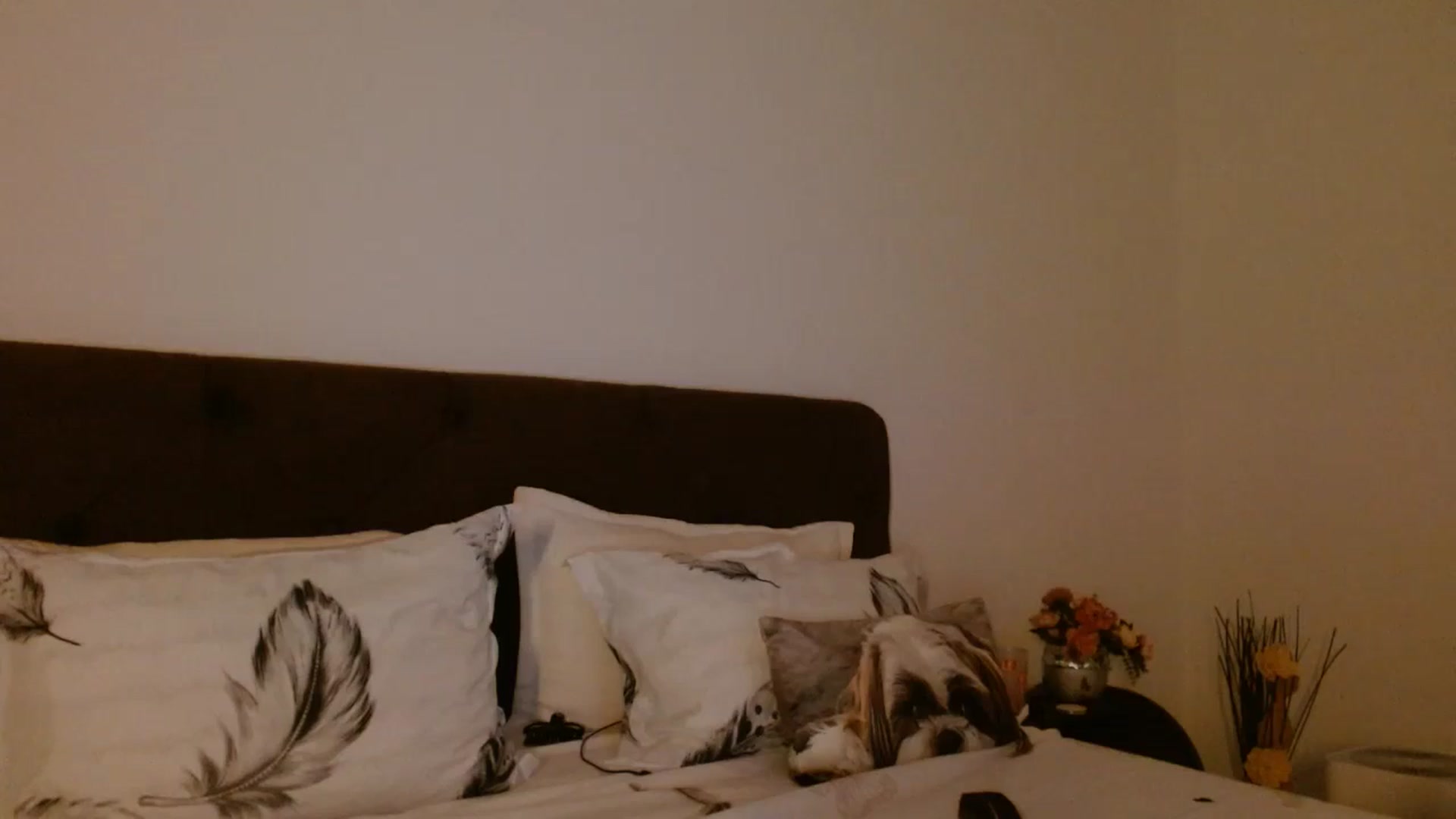 Gallery image thumbnail from EROS____'s myfreecams stream on, 10/12/2025, 09:19 image 17 of 20