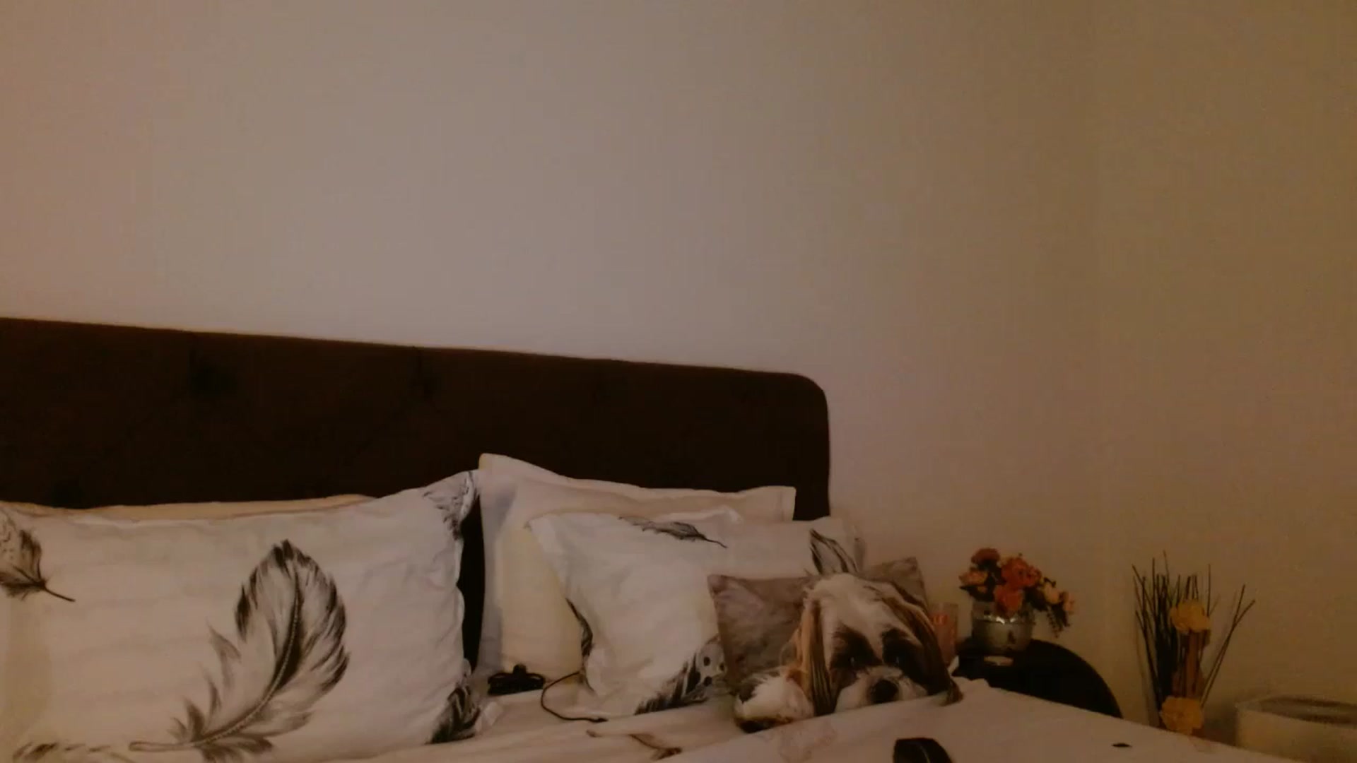 Gallery image thumbnail from EROS____'s myfreecams stream on, 10/12/2025, 09:19 image 18 of 20