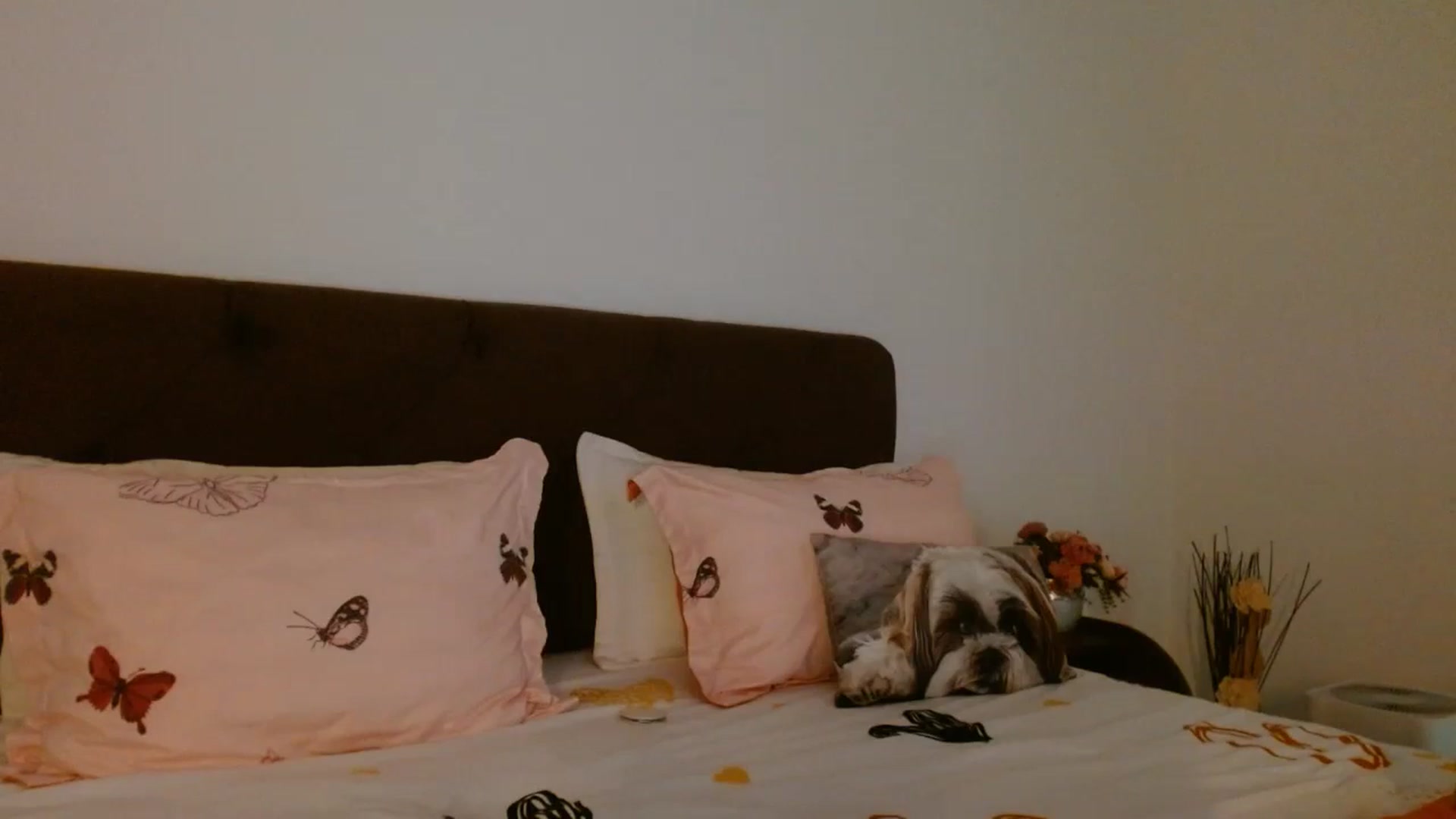 Gallery image thumbnail from EROS____'s myfreecams stream on, 10/18/2025, 09:21 image 16 of 20