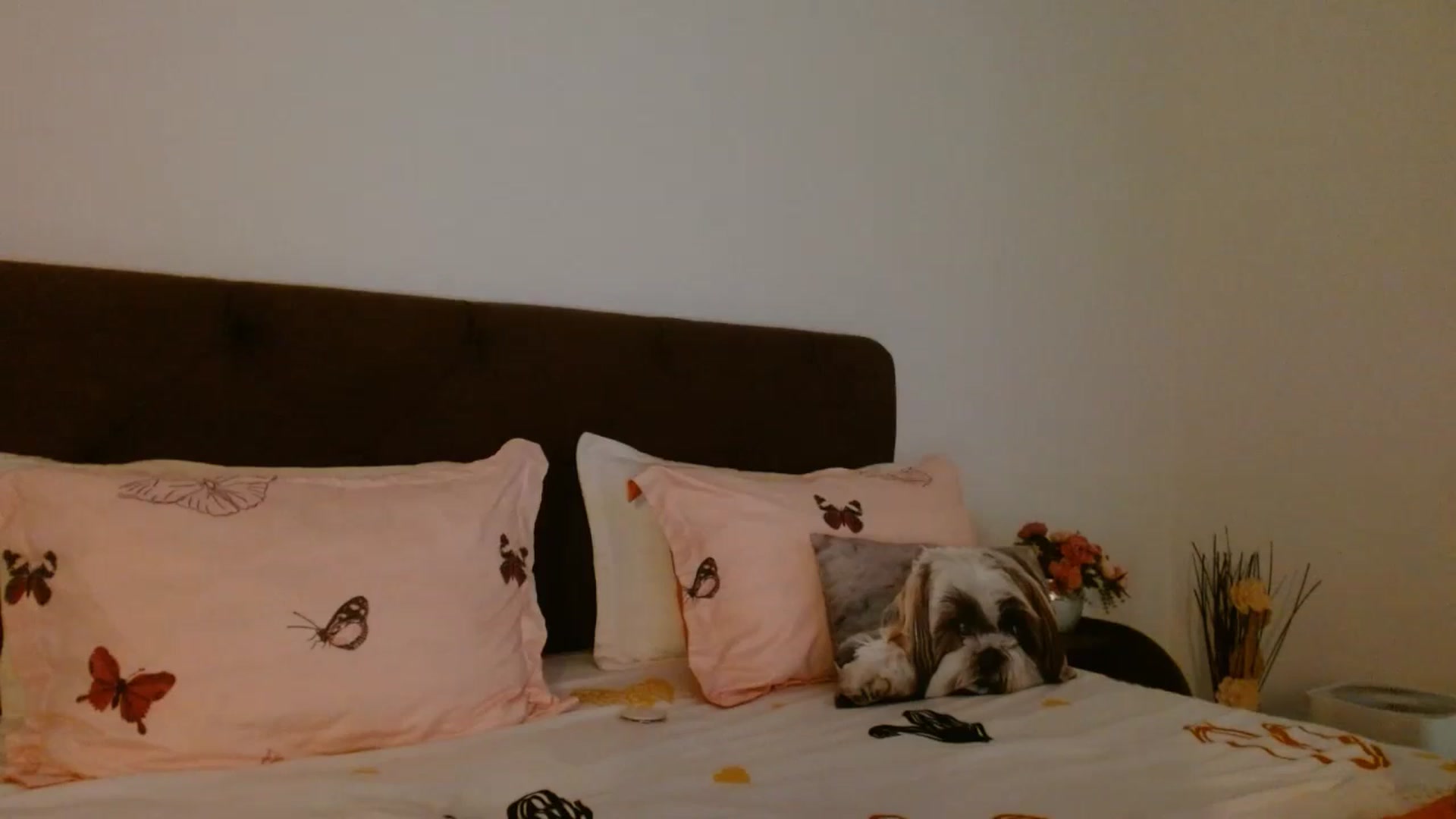Gallery image thumbnail from EROS____'s myfreecams stream on, 10/18/2025, 09:21 image 18 of 20