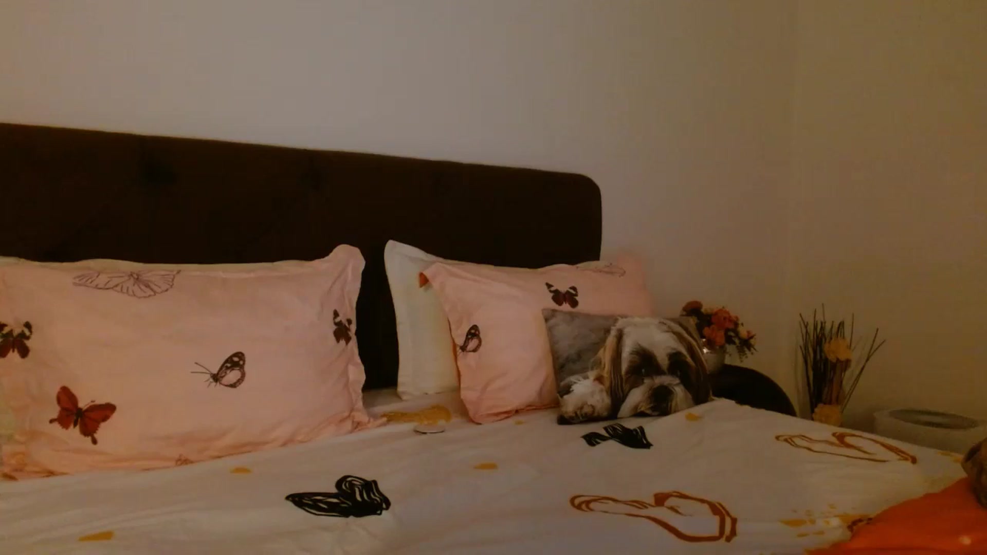 Gallery image thumbnail from EROS____'s myfreecams stream on, 10/18/2025, 09:21 image 8 of 20