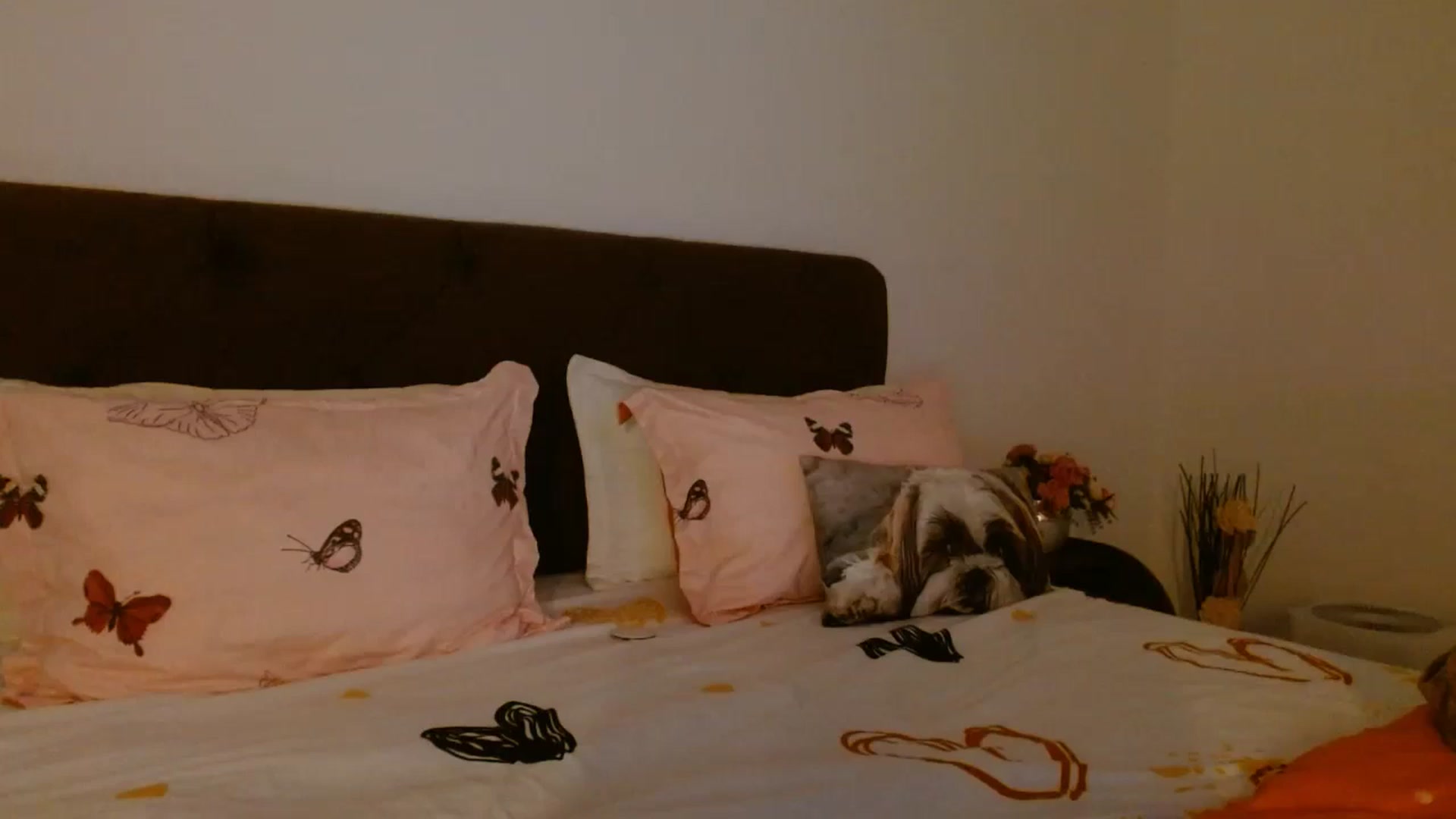 Gallery image thumbnail from EROS____'s myfreecams stream on, 10/18/2025, 09:21 image 9 of 20