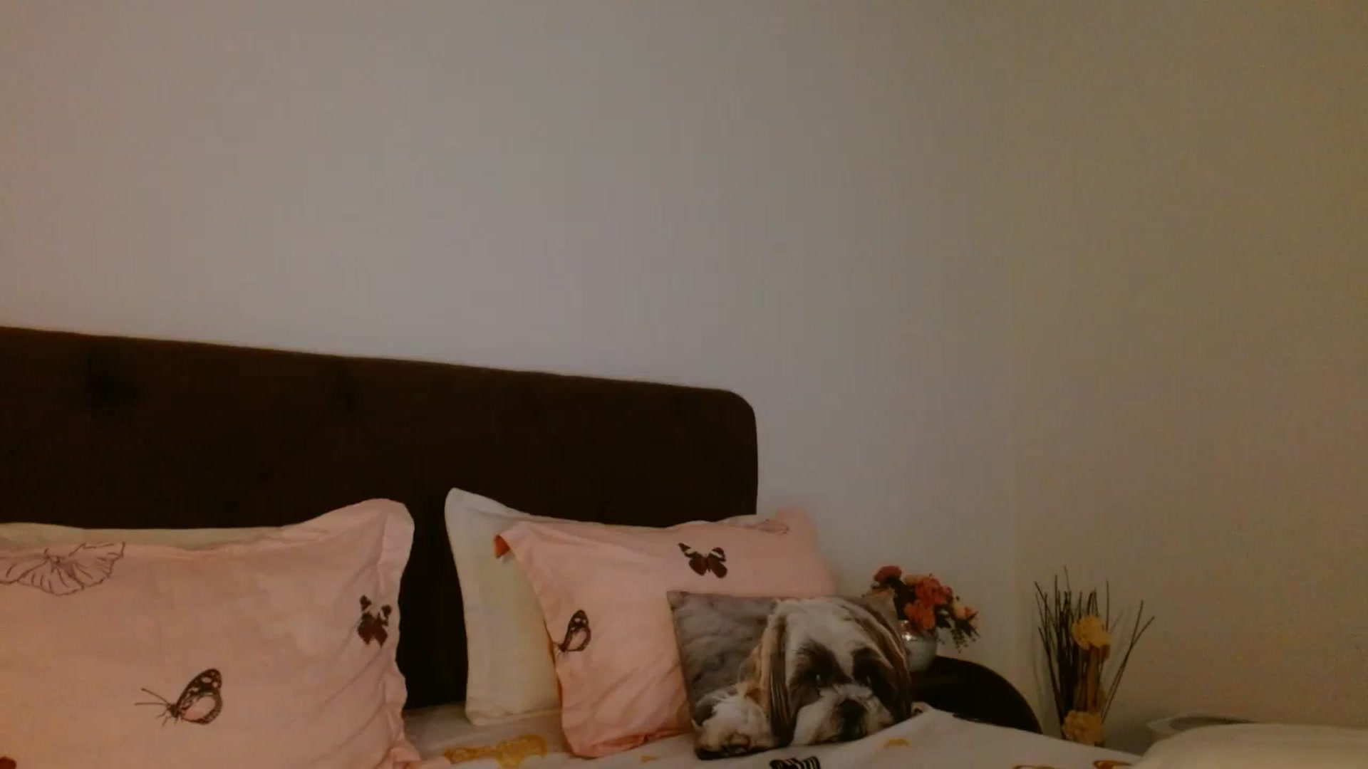 Gallery image thumbnail from EROS____'s myfreecams stream on, 10/18/2025, 12:31 image 17 of 20