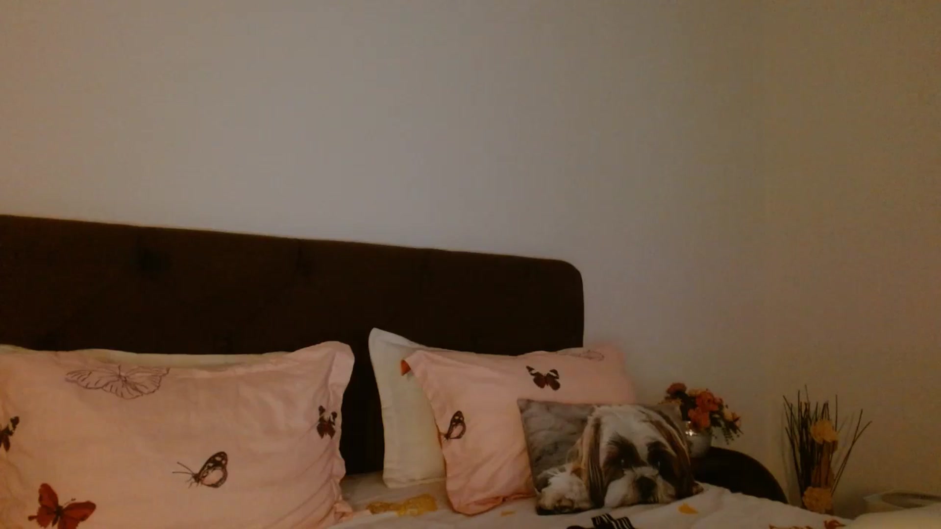 Gallery image thumbnail from EROS____'s myfreecams stream on, 10/18/2025, 13:28 image 8 of 20