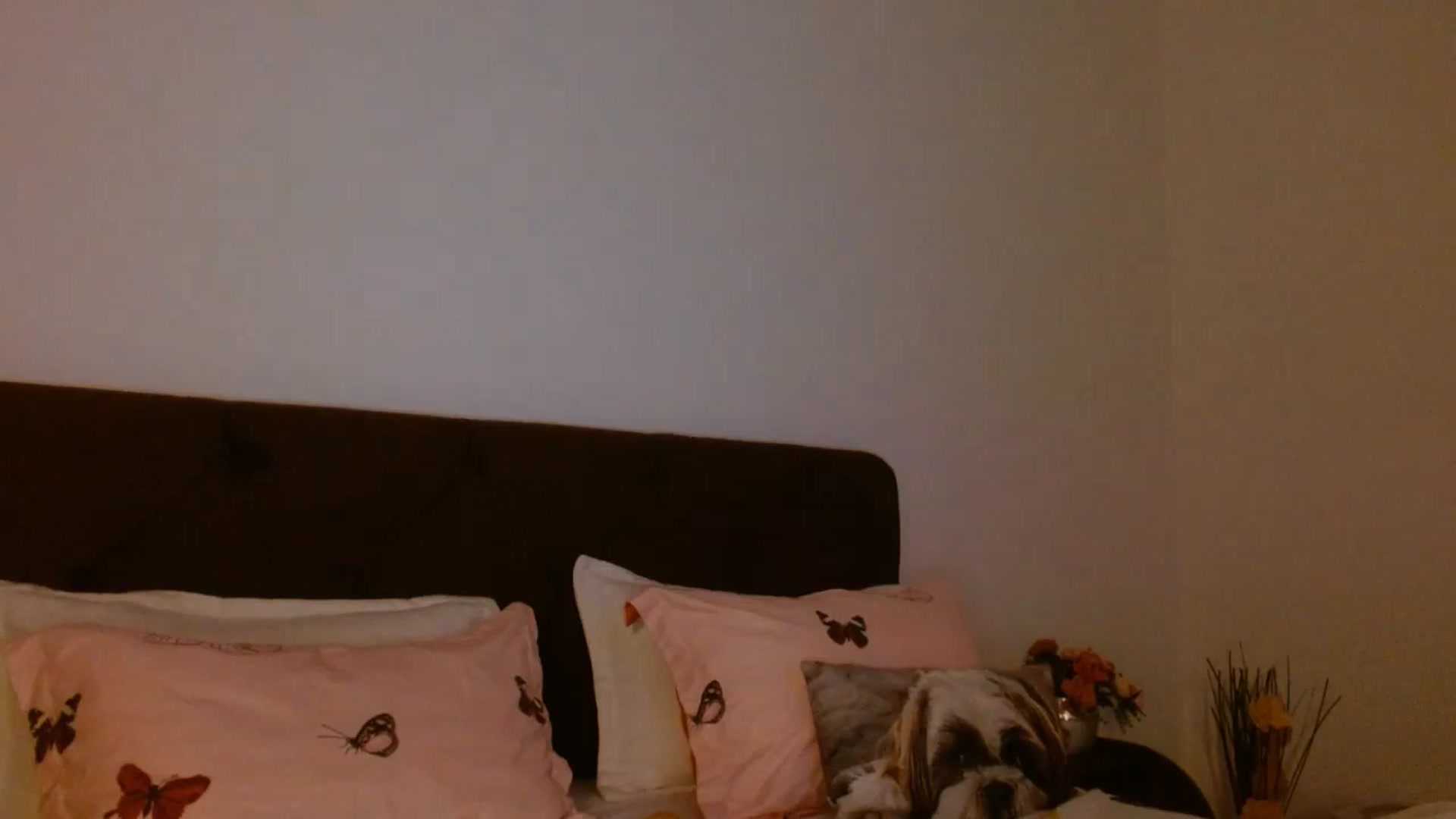 Gallery image thumbnail from EROS____'s myfreecams stream on, 10/18/2025, 14:42 image 10 of 20