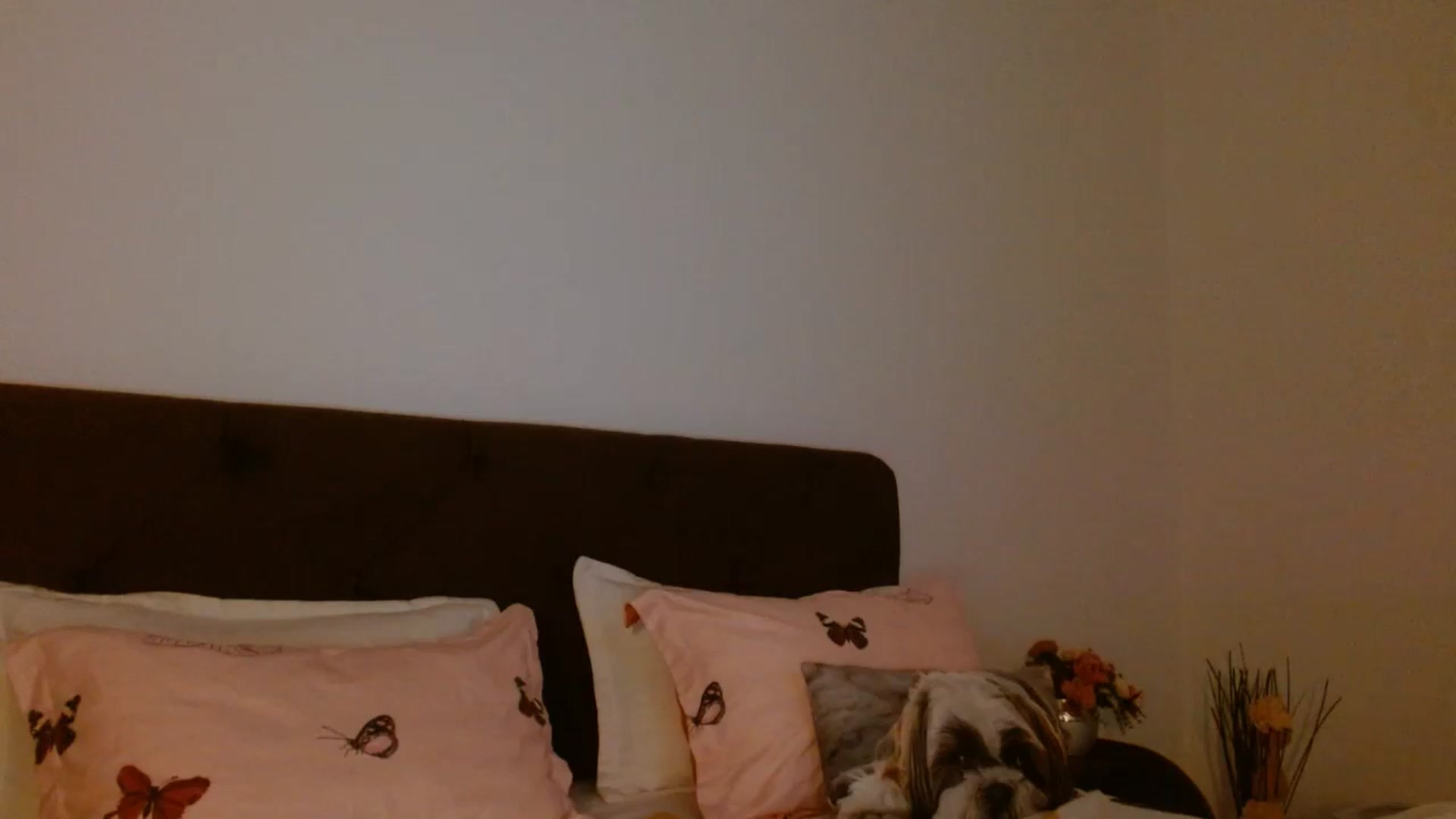 Gallery image thumbnail from EROS____'s myfreecams stream on, 10/18/2025, 14:42 image 11 of 20
