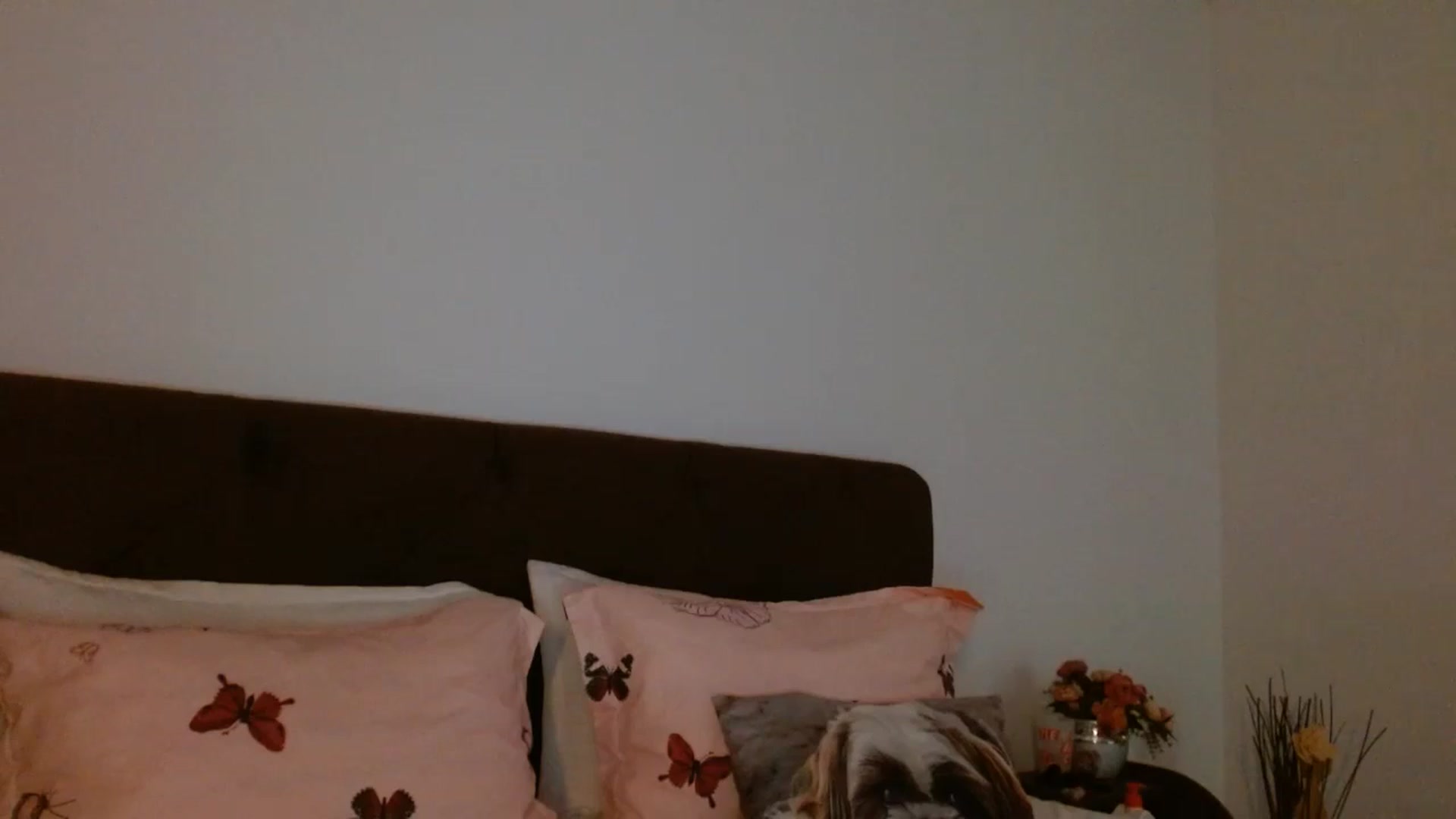 Gallery image thumbnail from EROS____'s myfreecams stream on, 11/09/2025, 10:38 image 19 of 20
