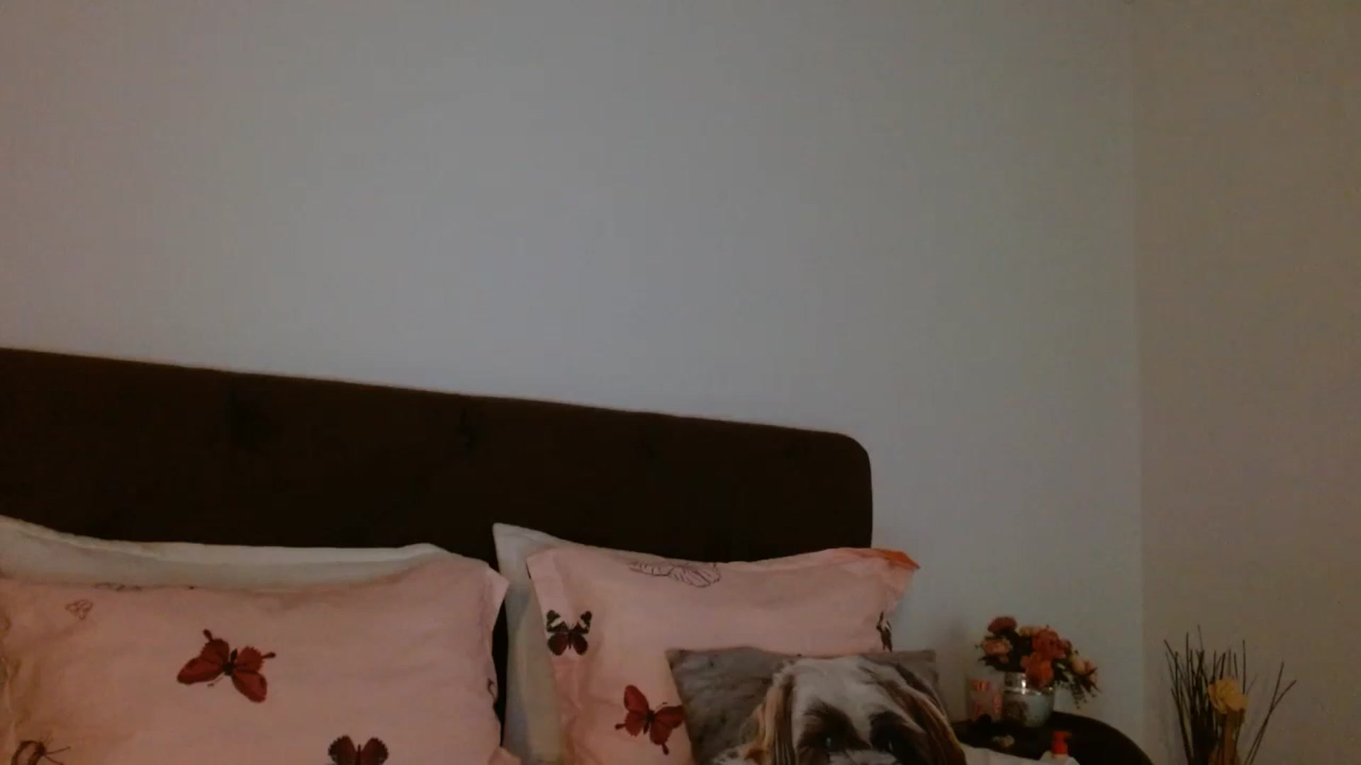 Gallery image thumbnail from EROS____'s myfreecams stream on, 11/09/2025, 10:38 image 20 of 20