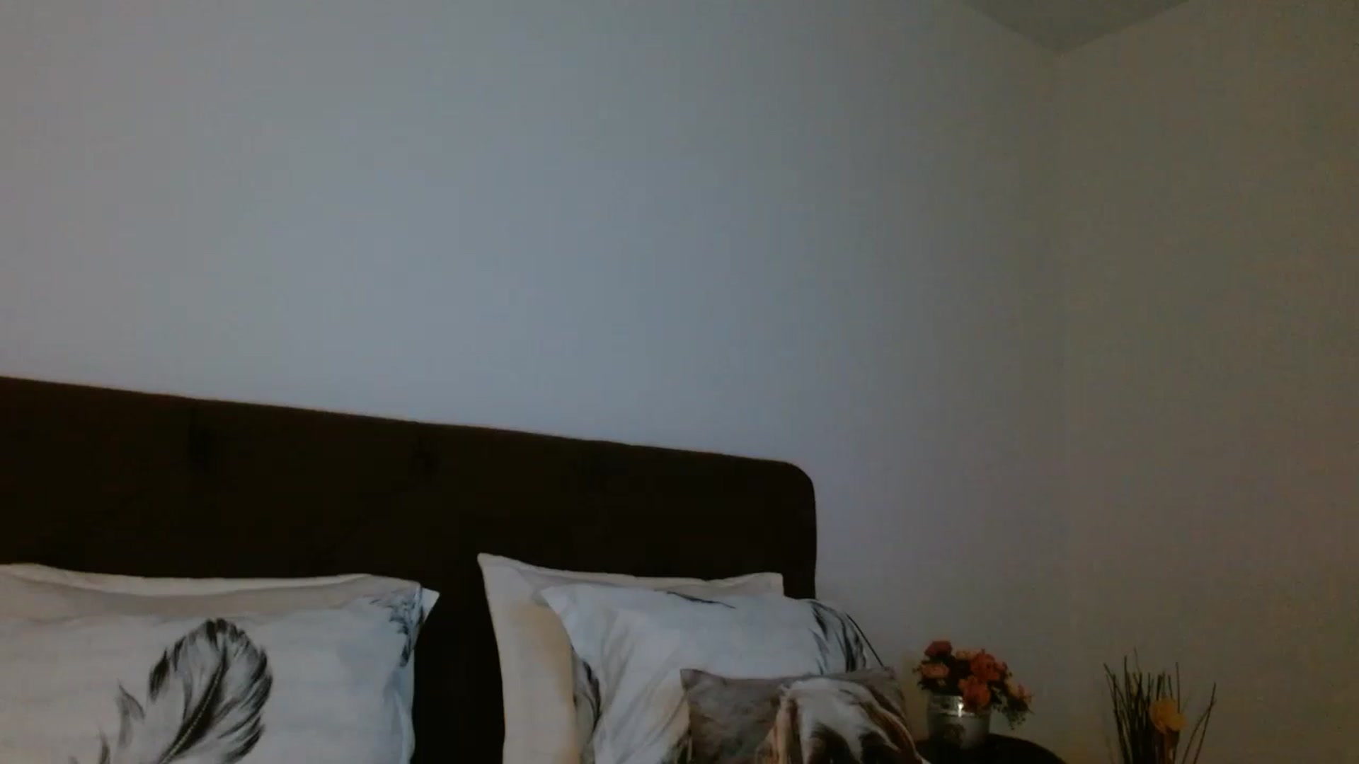 Gallery image thumbnail from EROS____'s myfreecams stream on, 11/27/2025, 11:33 image 6 of 20