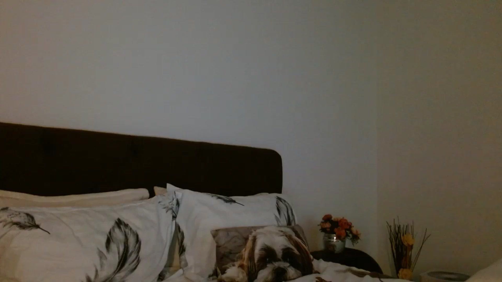 Gallery image thumbnail from EROS____'s myfreecams stream on, 11/29/2025, 11:44 image 11 of 20