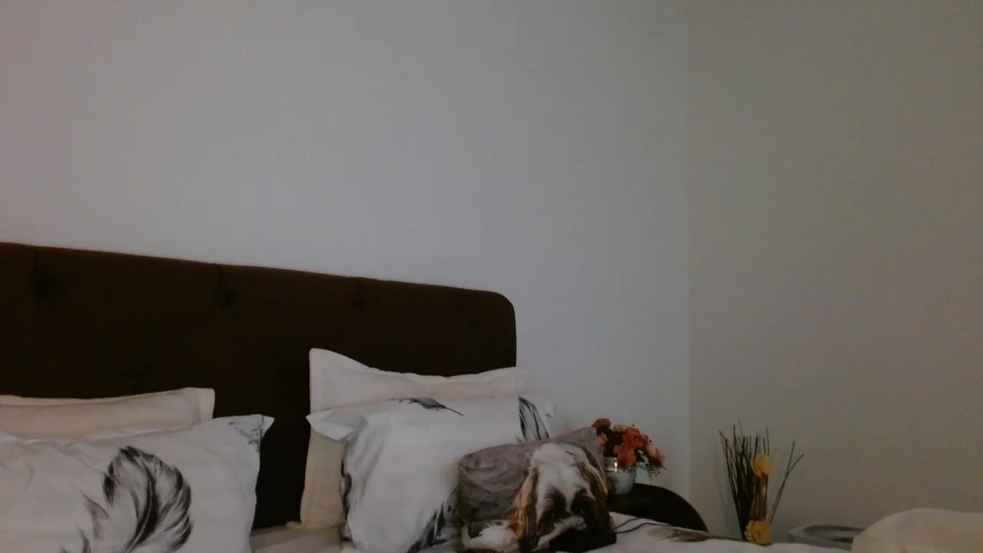 Gallery image thumbnail from EROS____'s myfreecams stream on, 12/07/2025, 11:00 image 15 of 20