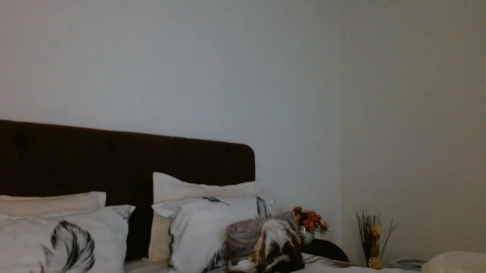 Gallery image thumbnail from EROS____'s myfreecams stream on, 12/07/2025, 11:00 image 17 of 20