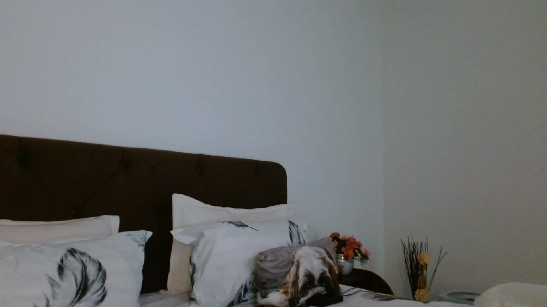Gallery image thumbnail from EROS____'s myfreecams stream on, 12/07/2025, 11:00 image 16 of 20