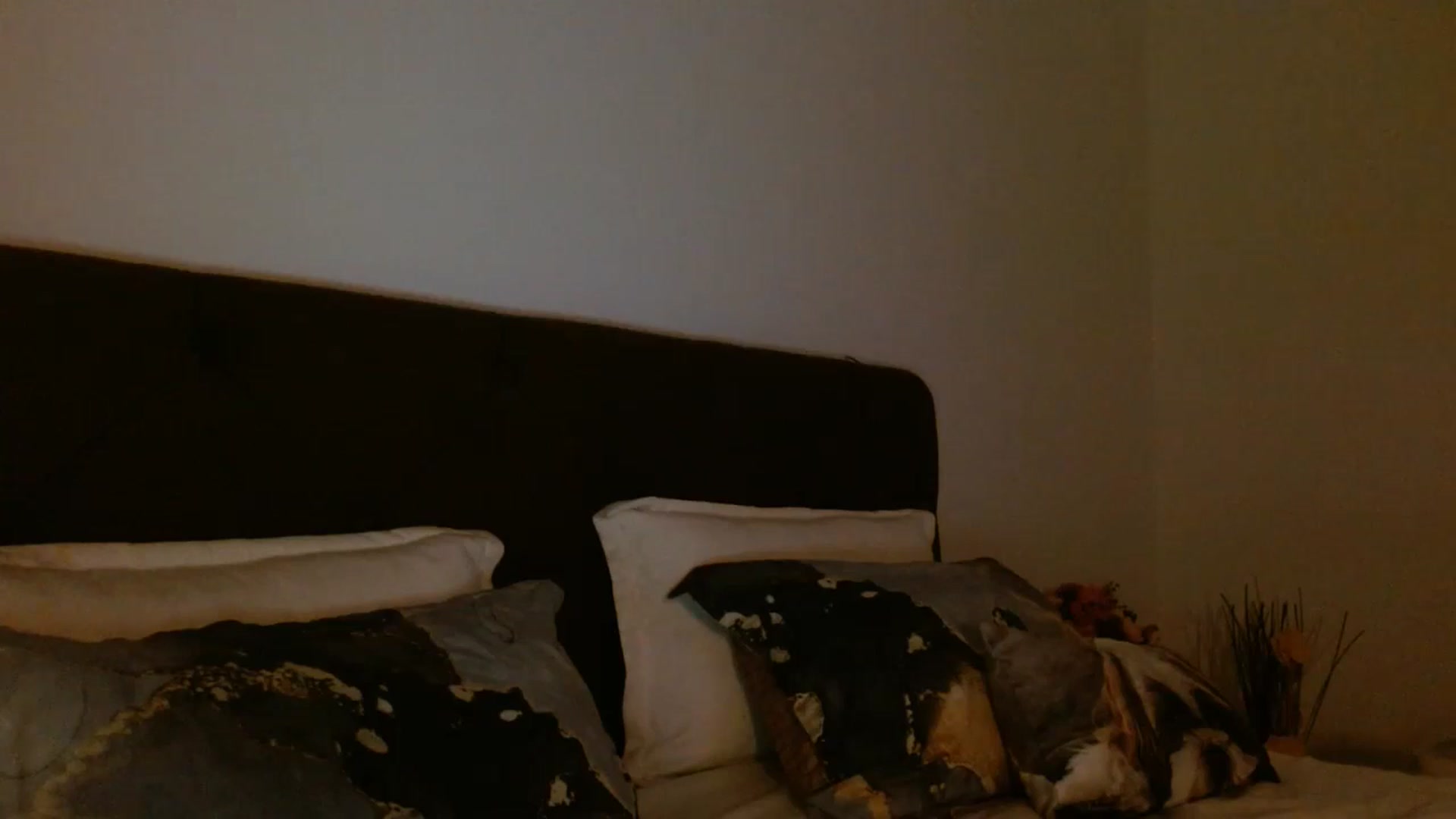 Gallery image thumbnail from EROS____'s myfreecams stream on, 12/20/2025, 14:30 image 18 of 20