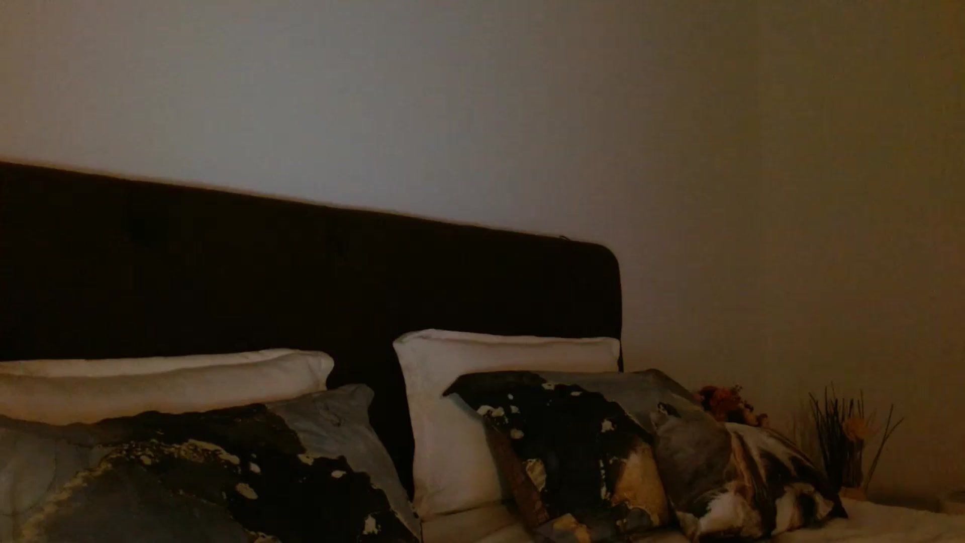Gallery image thumbnail from EROS____'s myfreecams stream on, 12/20/2025, 14:30 image 17 of 20