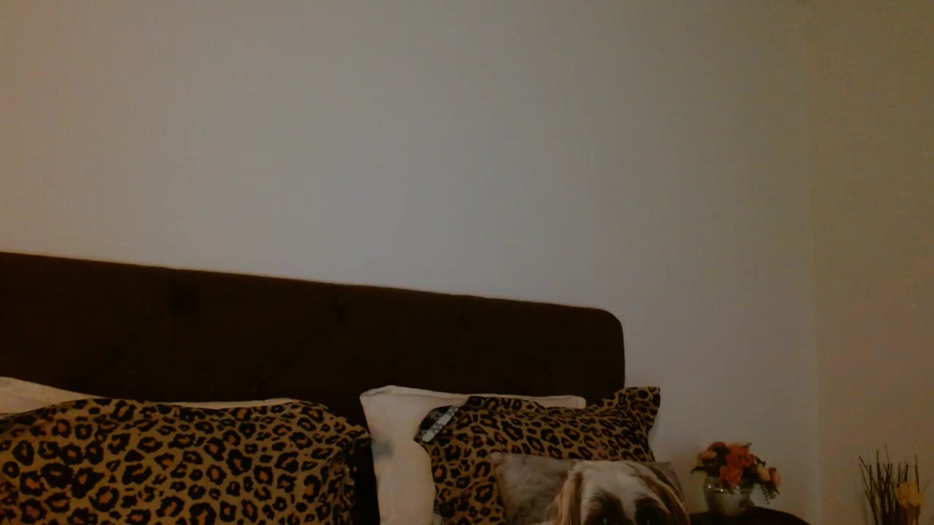 Gallery image thumbnail from EROS____'s myfreecams stream on, 01/04/2026, 13:57 image 4 of 20