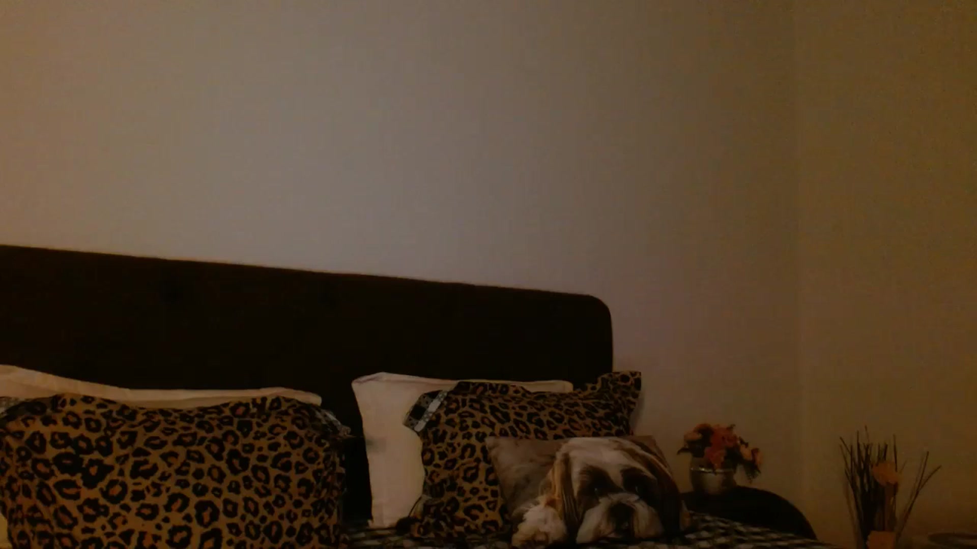 Gallery image thumbnail from EROS____'s myfreecams stream on, 01/04/2026, 15:09 image 13 of 20