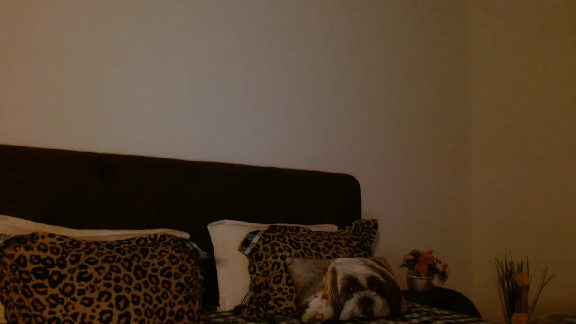 Gallery image thumbnail from EROS____'s myfreecams stream on, 01/04/2026, 15:09 image 12 of 20