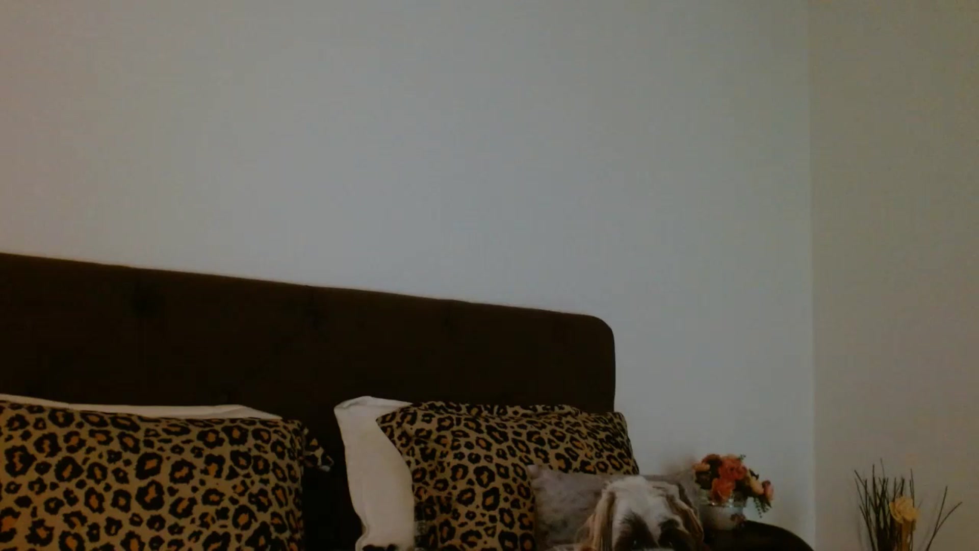 Gallery image thumbnail from EROS____'s myfreecams stream on, 01/10/2026, 11:16 image 13 of 20