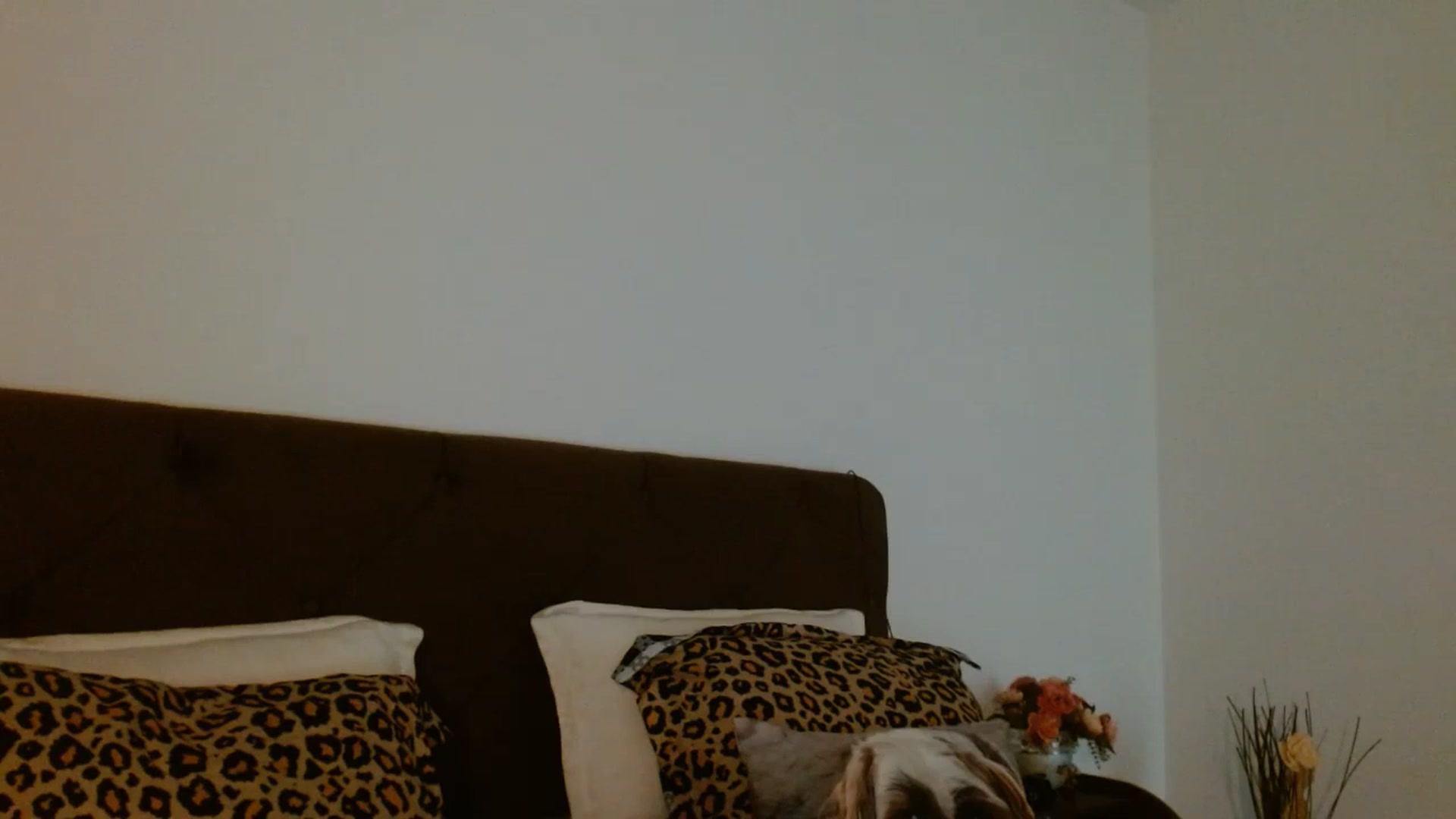 Gallery image thumbnail from EROS____'s myfreecams stream on, 01/11/2026, 12:01 image 12 of 20