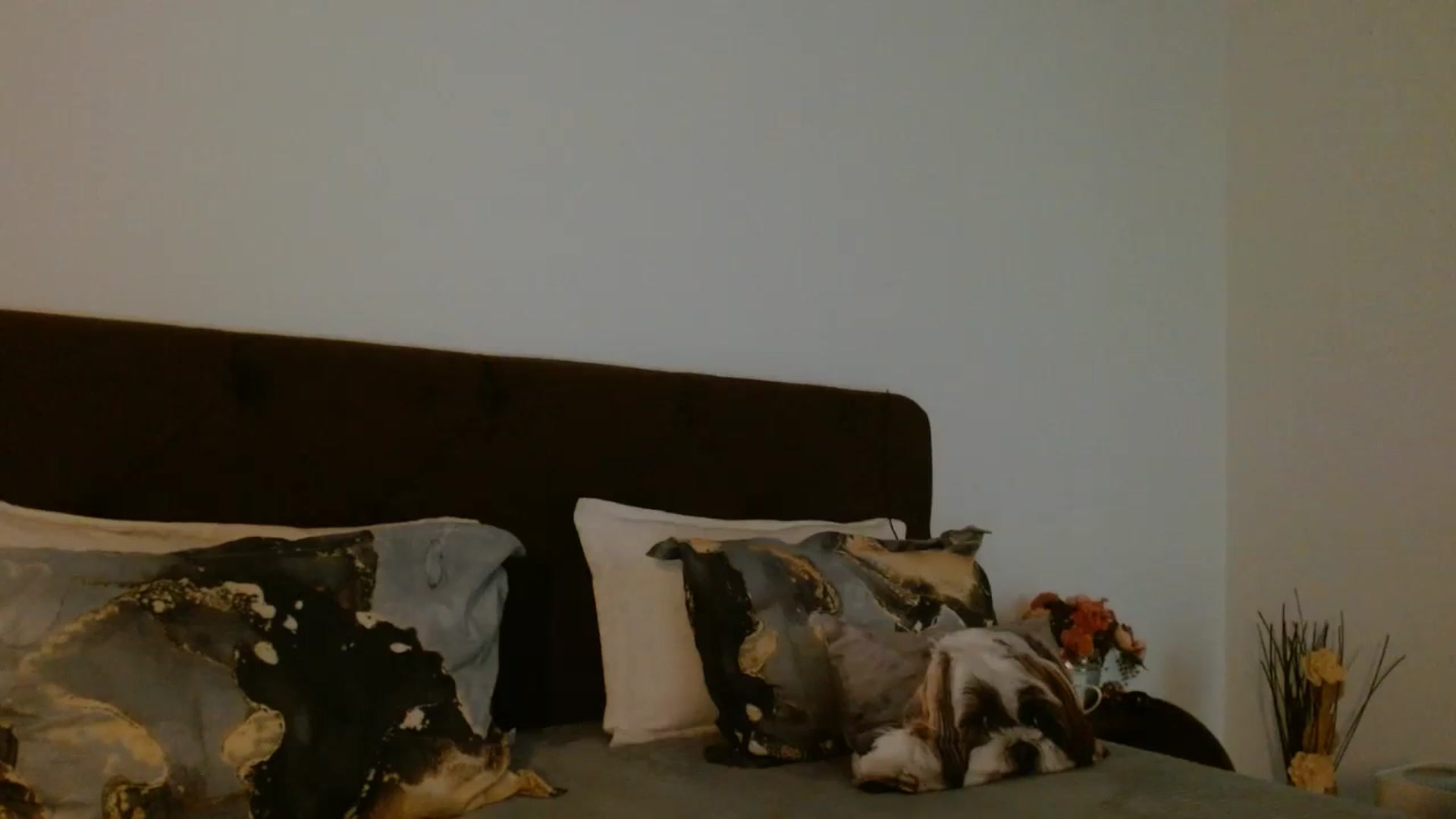Gallery image thumbnail from EROS____'s myfreecams stream on, 02/07/2026, 10:09 image 10 of 20
