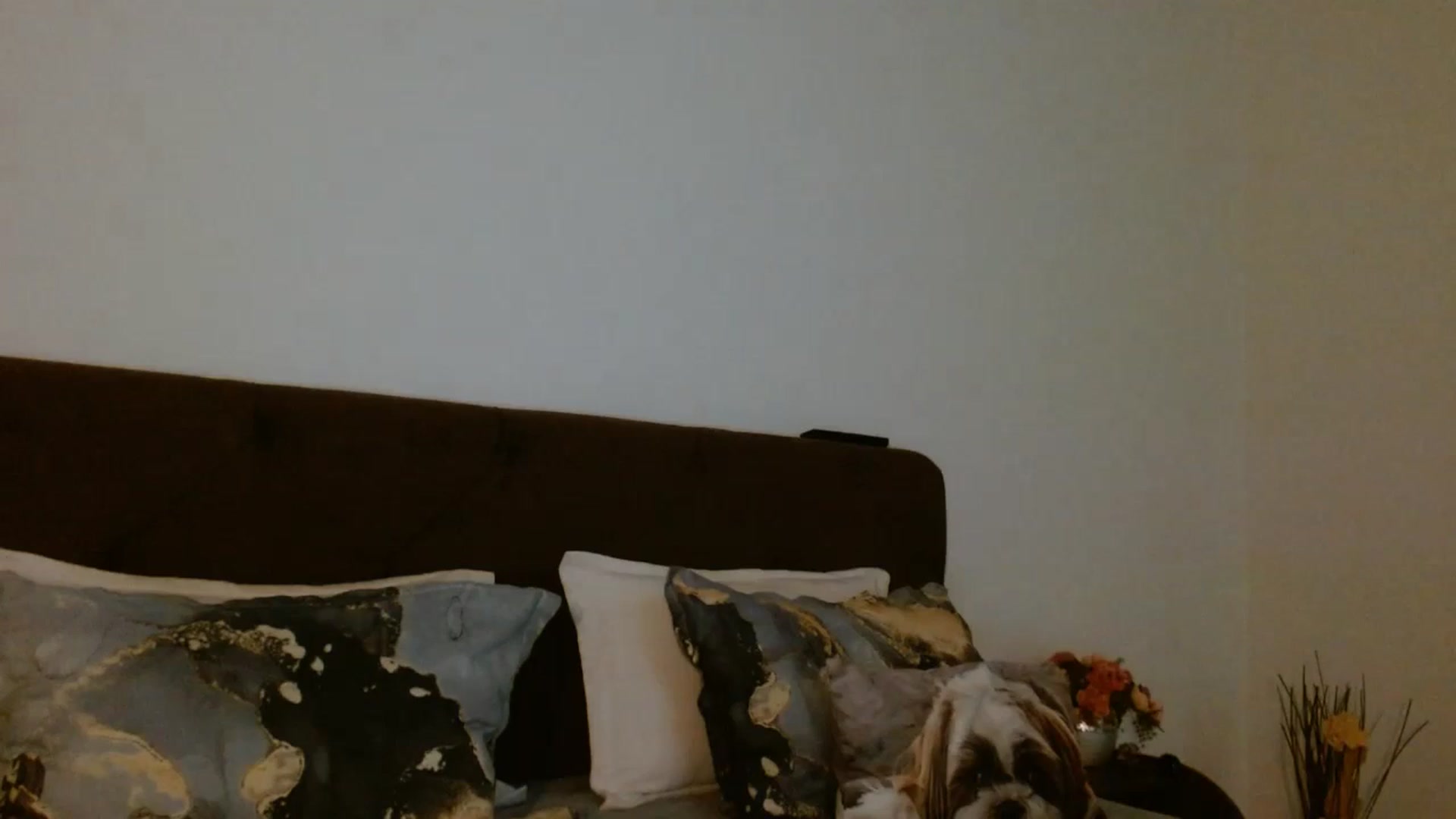 Gallery image thumbnail from EROS____'s myfreecams stream on, 02/08/2026, 11:04 image 2 of 20