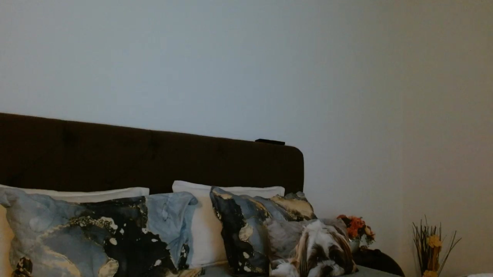 Gallery image thumbnail from EROS____'s myfreecams stream on, 02/08/2026, 12:09 image 7 of 20
