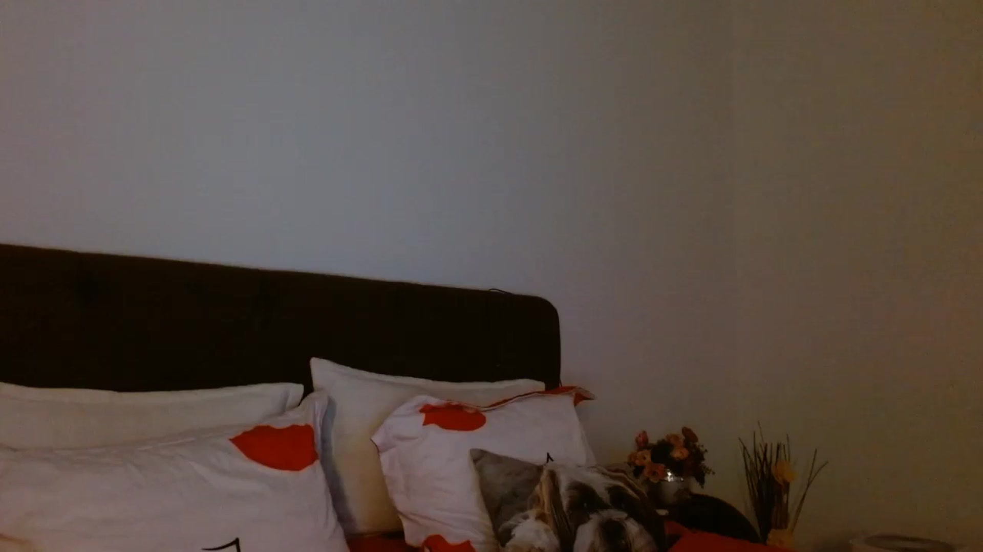 Gallery image thumbnail from EROS____'s myfreecams stream on, 04/19/2026, 10:51 image 10 of 20