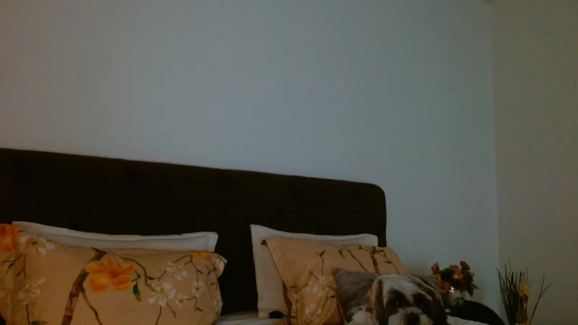 Gallery image thumbnail from EROS____'s myfreecams stream on, 04/26/2026, 12:04 image 8 of 20